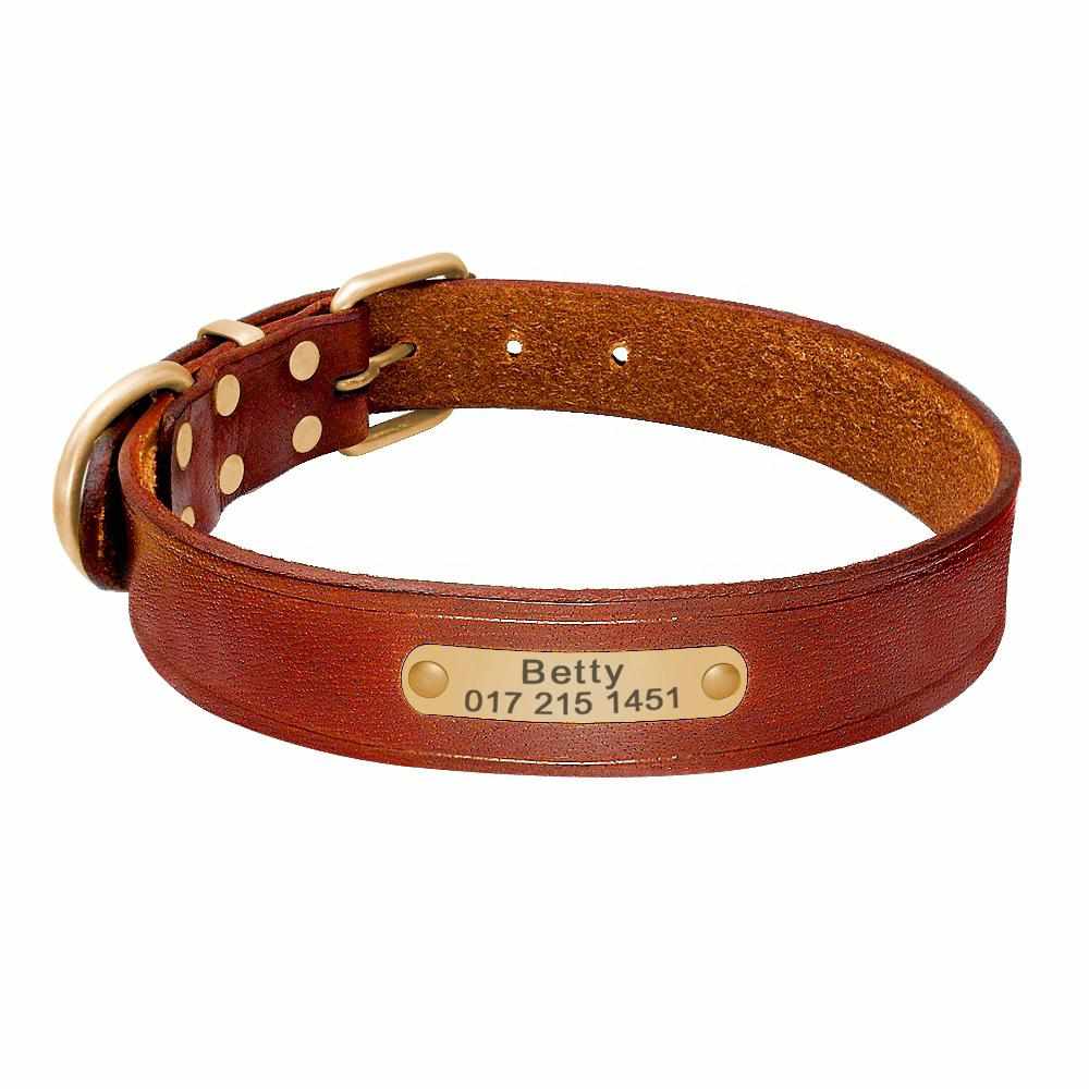 Leder Hundehalsband mit Gravur Name und Telefon Gold