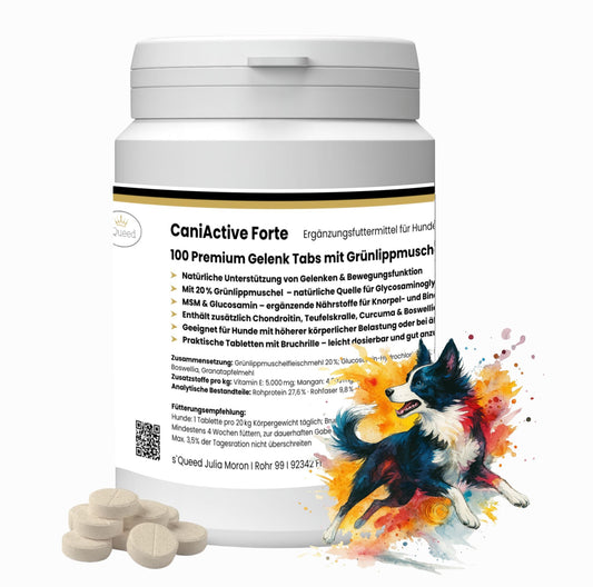 CaniActive Forte 100 Gelenk Tabs für Hunde - mit Grünlippmuschel, MSM & Glucosamin