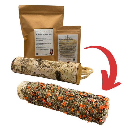 DIY Set Birkenholz zum Knabbern