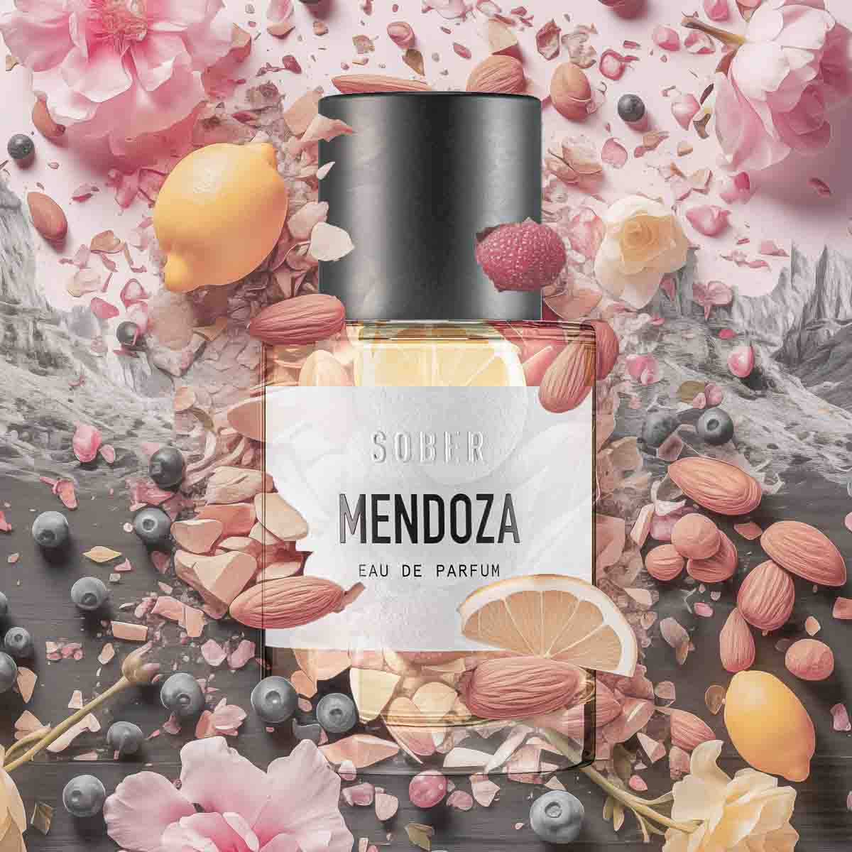 MENDOZA Eau de Parfum Unisex 50ml Orientalischer Duft mit Kirsche und Schwarzem Tee-sober