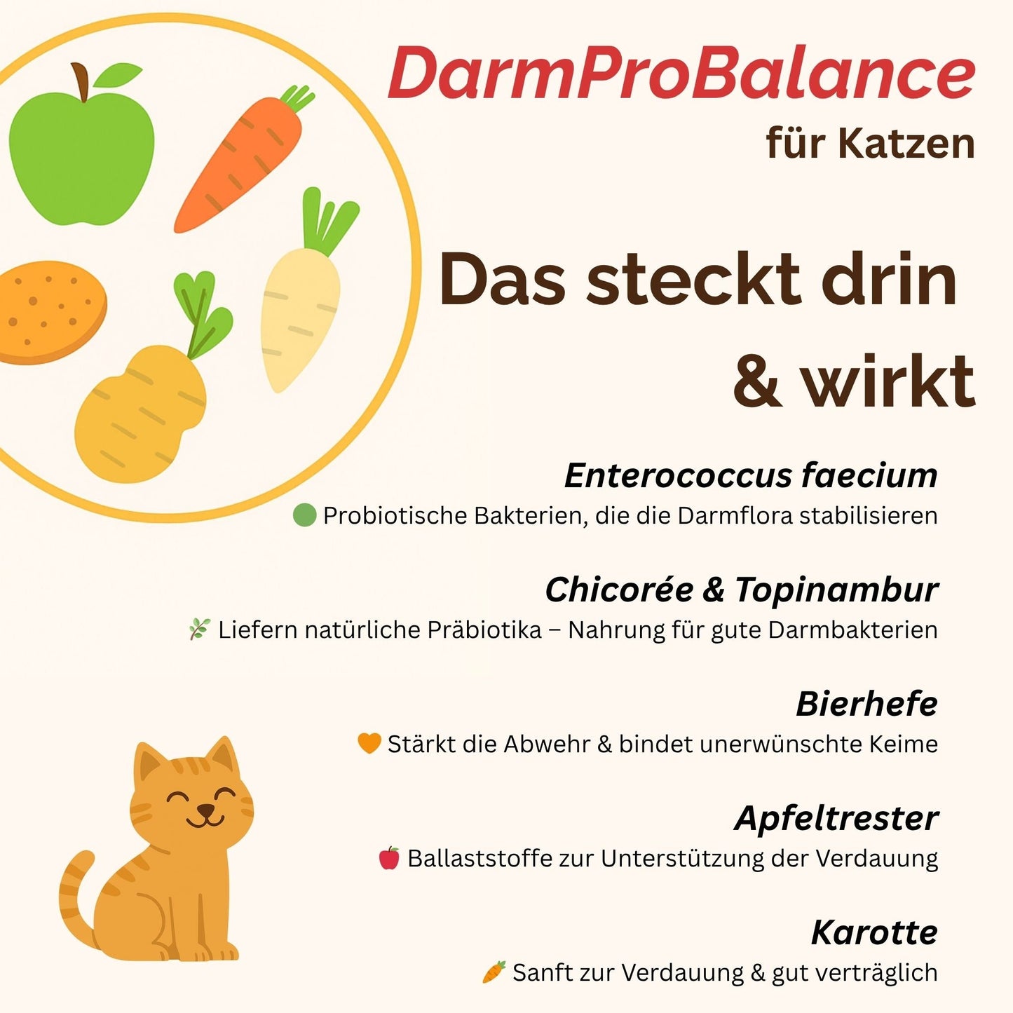 Darmpulver Katze - Durchfall und Erbrechen Katze -Darmflora Katze aufbauen