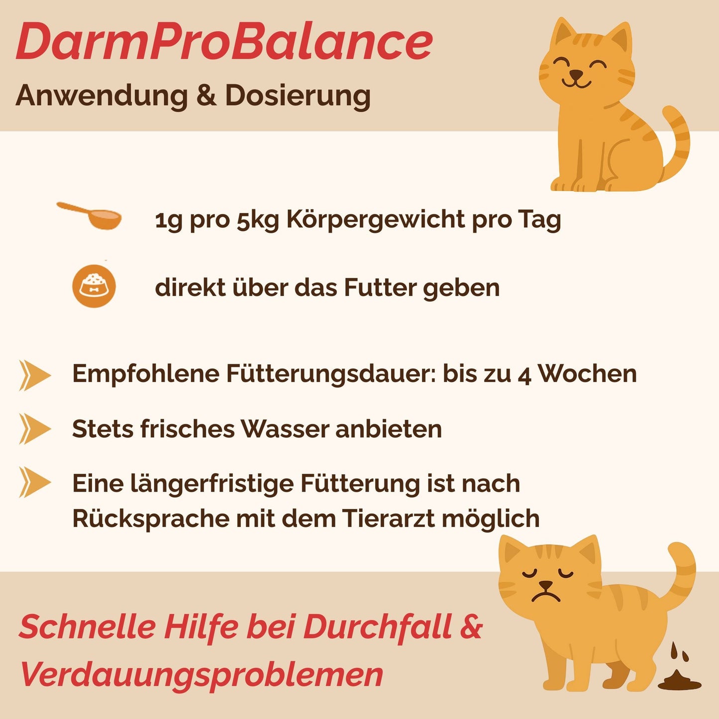 Darmpulver Katze - Durchfall und Erbrechen Katze -Darmflora Katze aufbauen