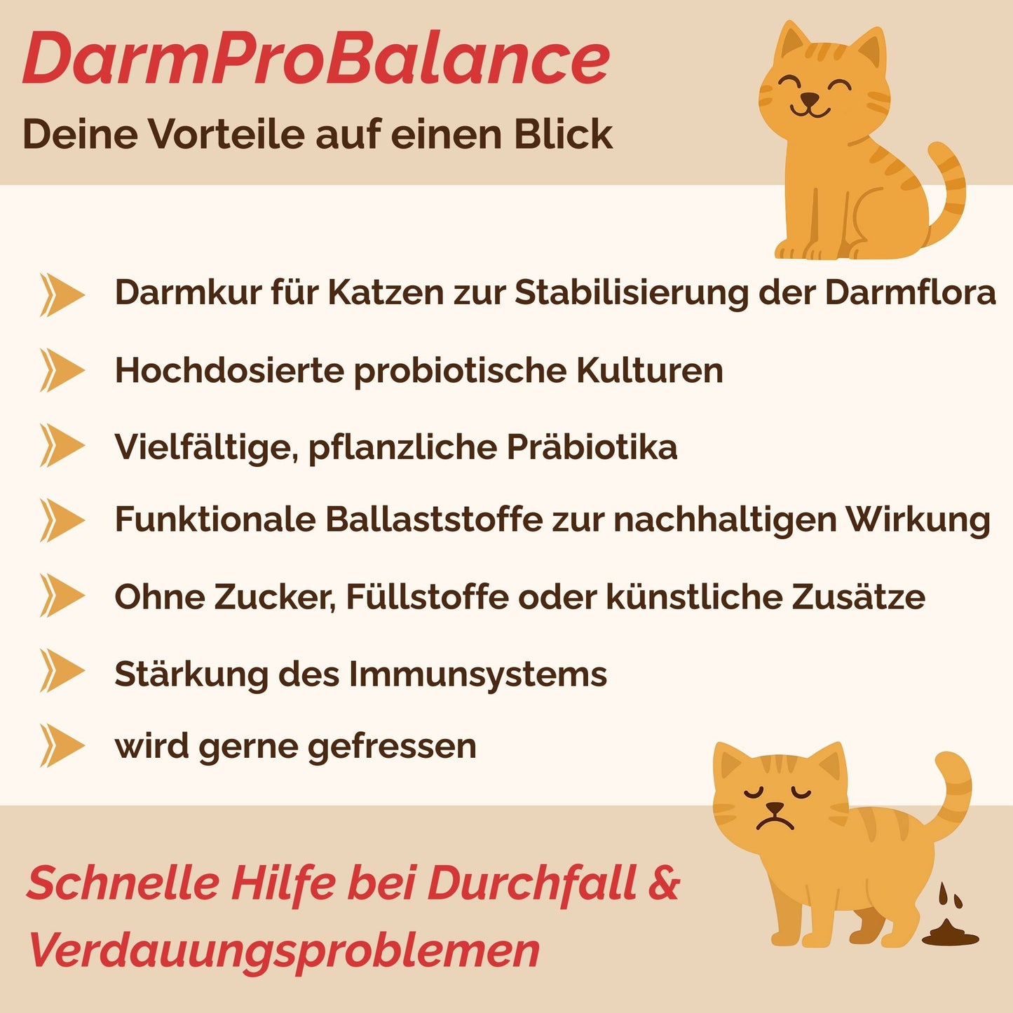 Darmpulver Katze - Durchfall und Erbrechen Katze -Darmflora Katze aufbauen