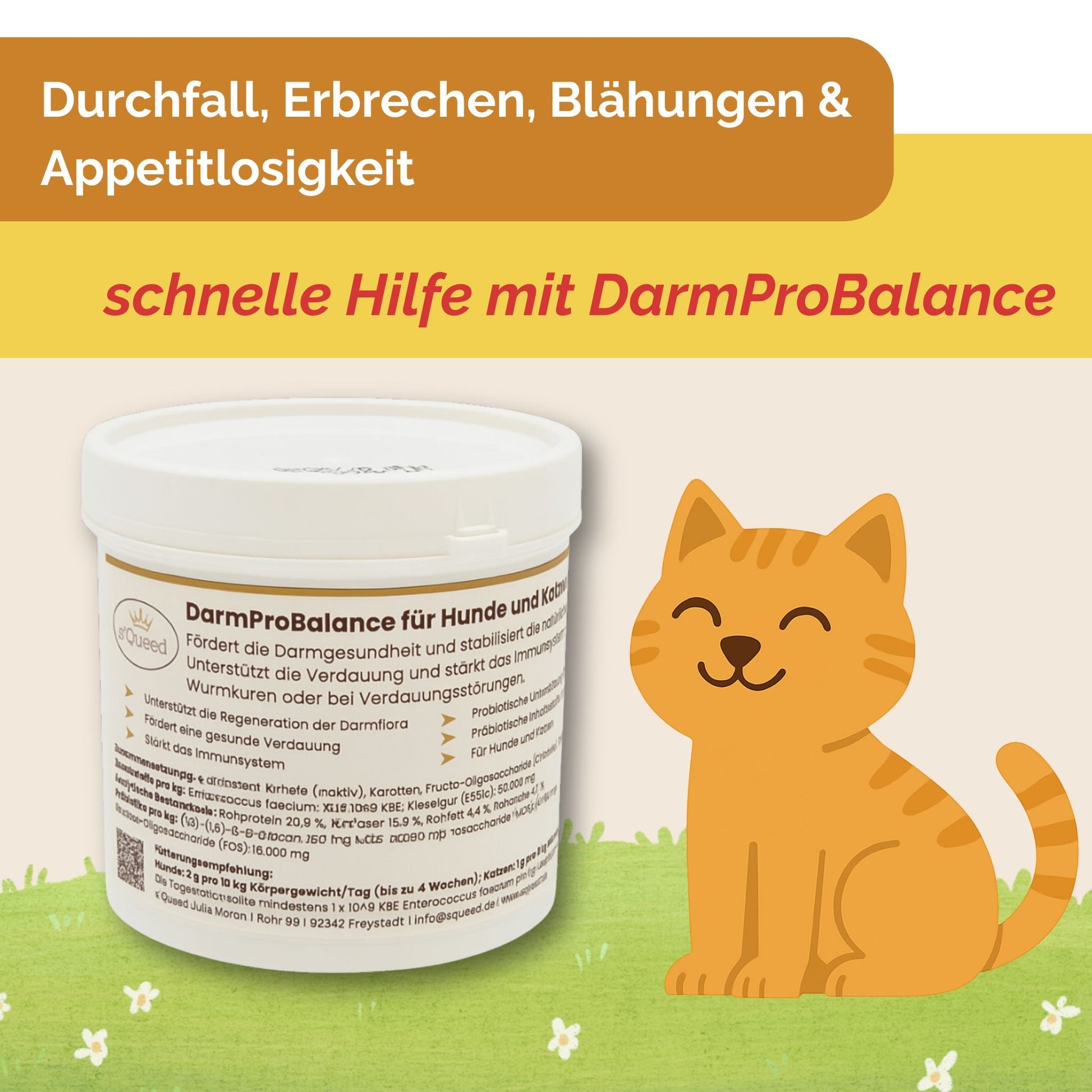 Darmpulver Katze - Durchfall und Erbrechen Katze -Darmflora Katze aufbauen