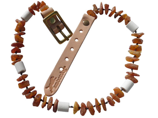 EM-Keramik Bernsteinkette für Hunde – Natürliches Premium-Accessoire