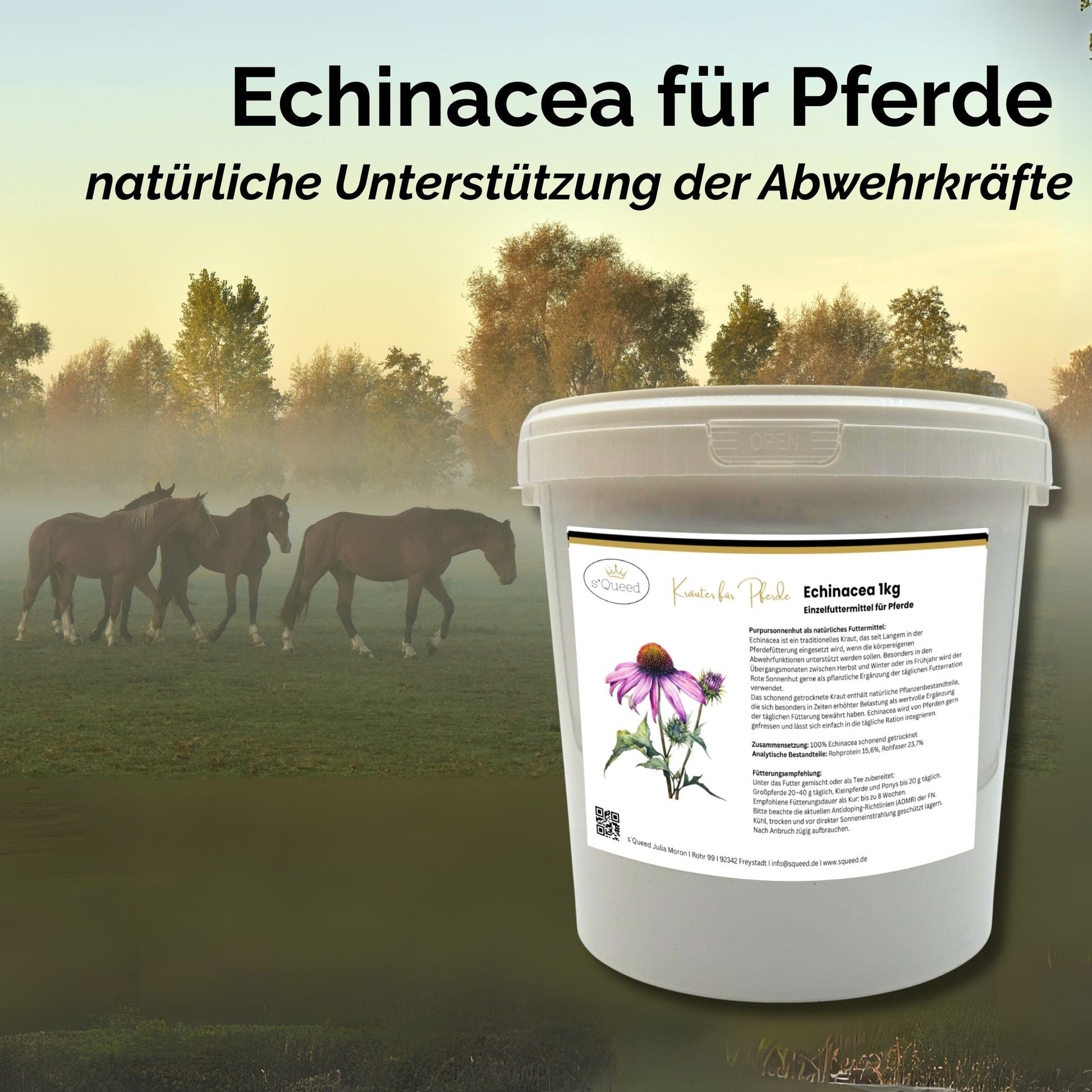 1kg Echinacea natürlicher Immun Booster für Pferde