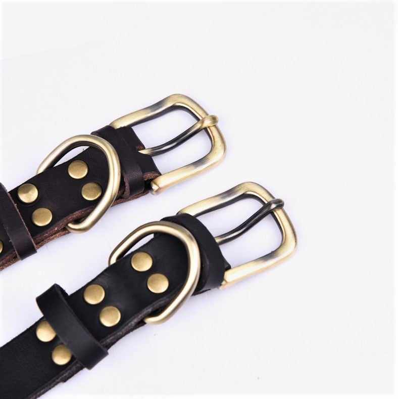 Echtleder Hundehalsband mit Messingschnalle und Gratis Gravur