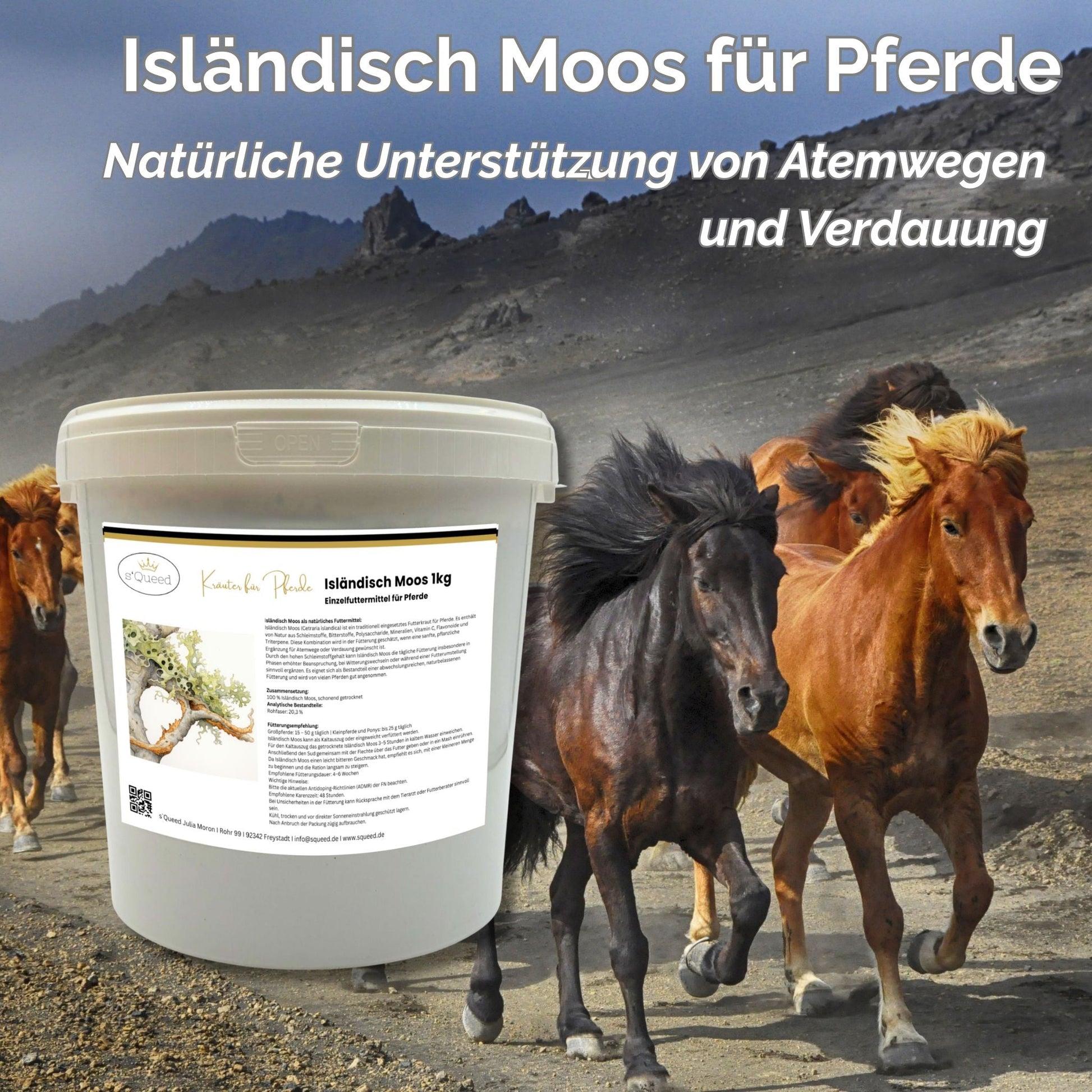Isländisch Moos 1kg pflanzliche Ergänzung für Pferde Atemwege Verdauung