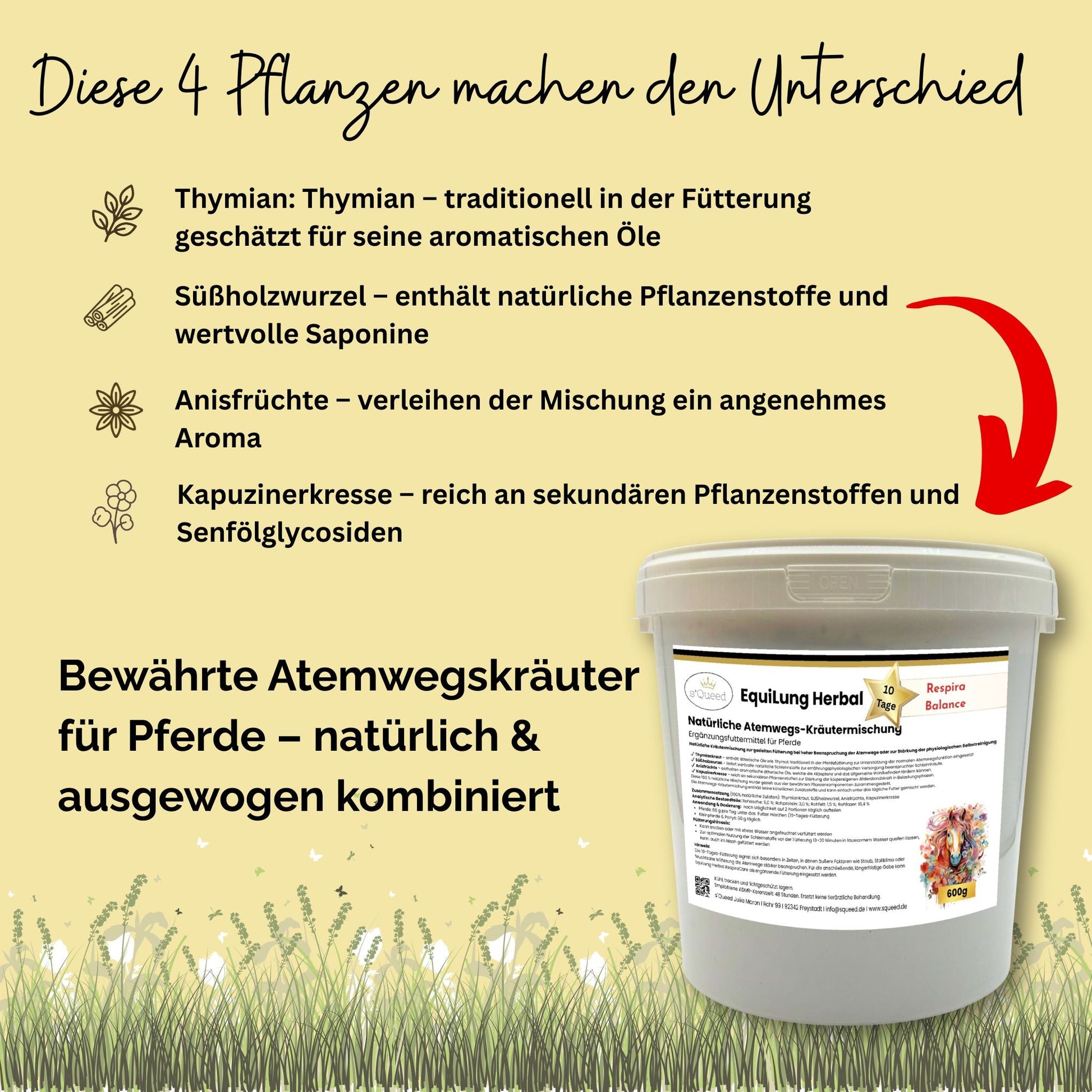 EquiLung Herbal RespiraBalance – Kräutermischung für Pferde in Phasen erhöhter Schleimbildung oder bei beanspruchten Atemwegen-s`Queed