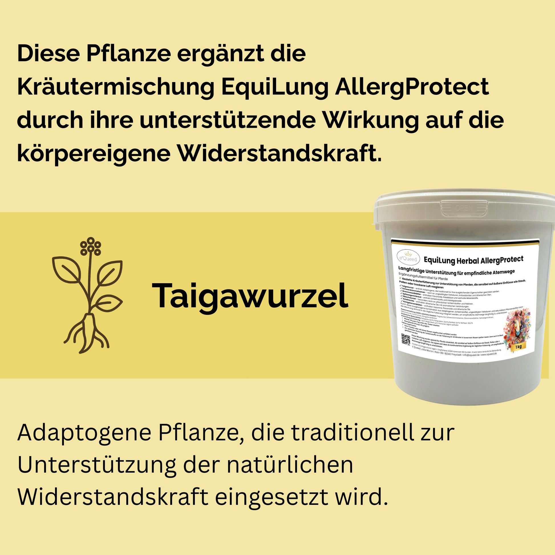 EquiLung Herbal AllergProtect Pferde Kräutermischung für Atemwege