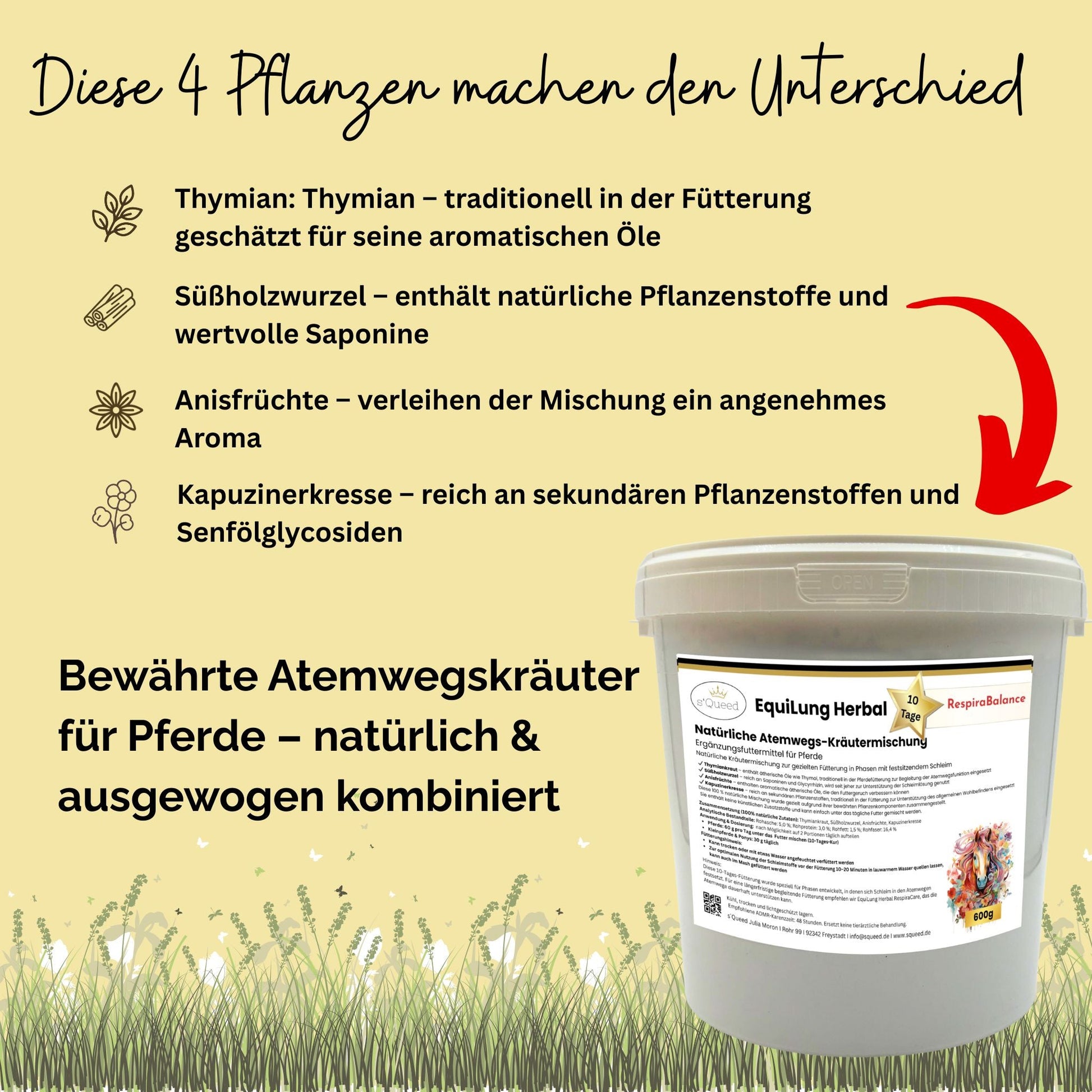 EquiLung Herbal RespiraBalance Kräutermischung zur Atemweg Unterstützung