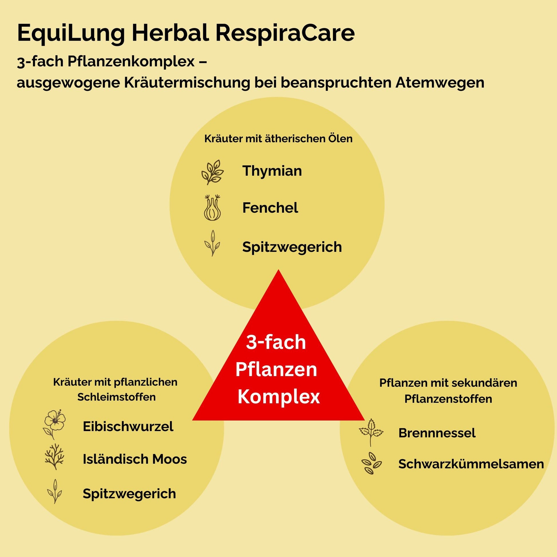 EquiLung Herbal RespiraCare – Kräutermischung für Pferde zur Langzeitfütterung bei beanspruchten Atemwegen-s`Queed
