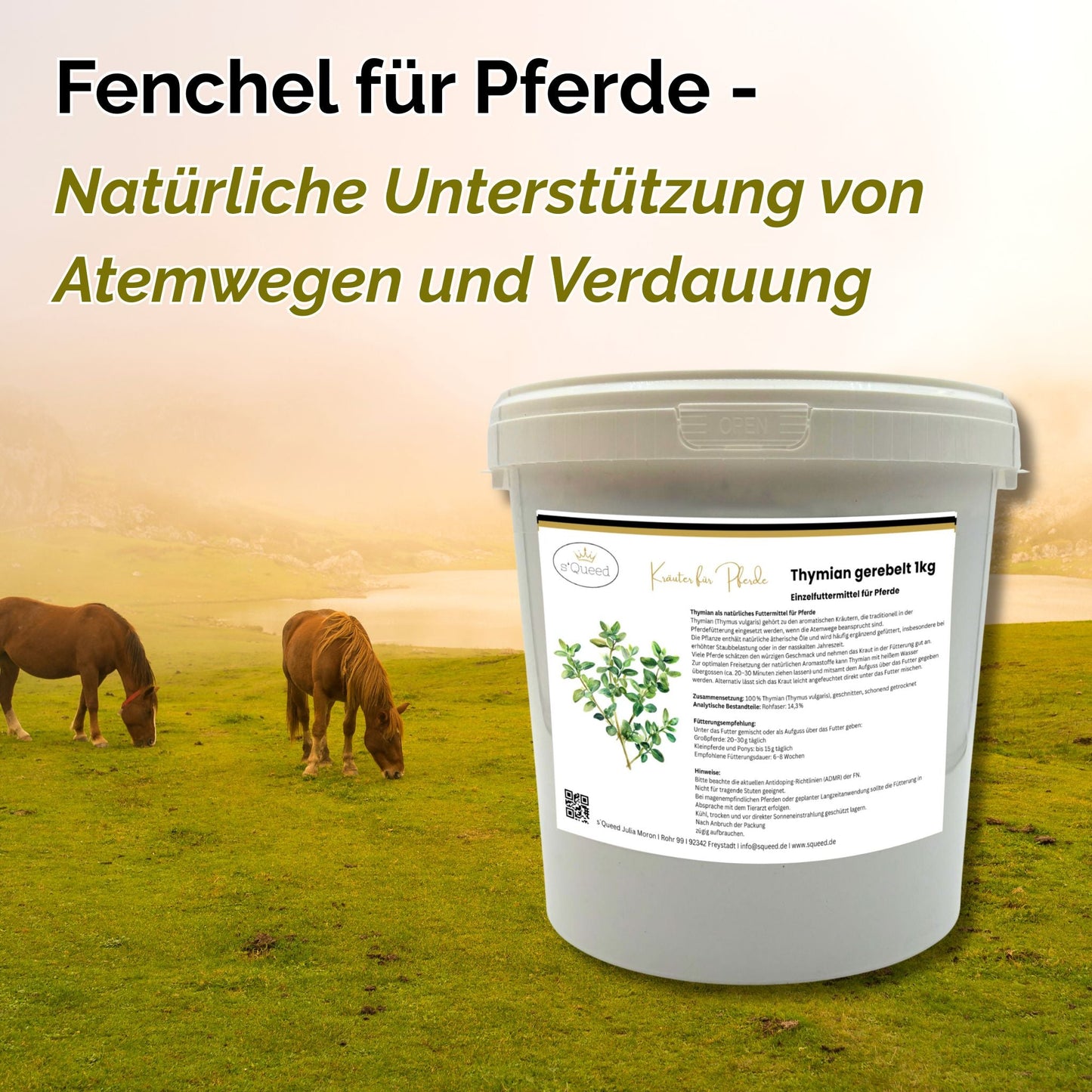 Fenchel 1kg für Pferde natürliche Unterstützung von Atemwegen und Verdauung