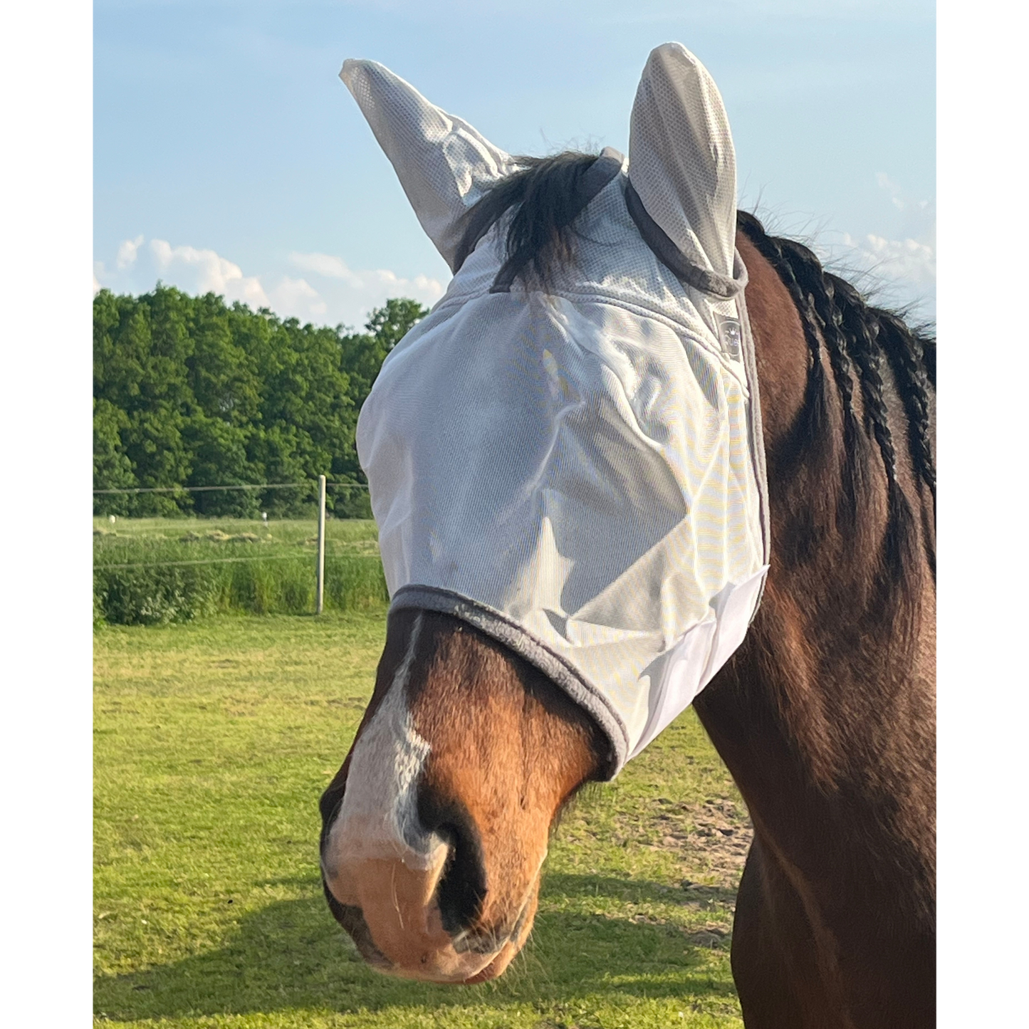 Fliegenmaske Fliegenohren Fliegenschutz für Pferde