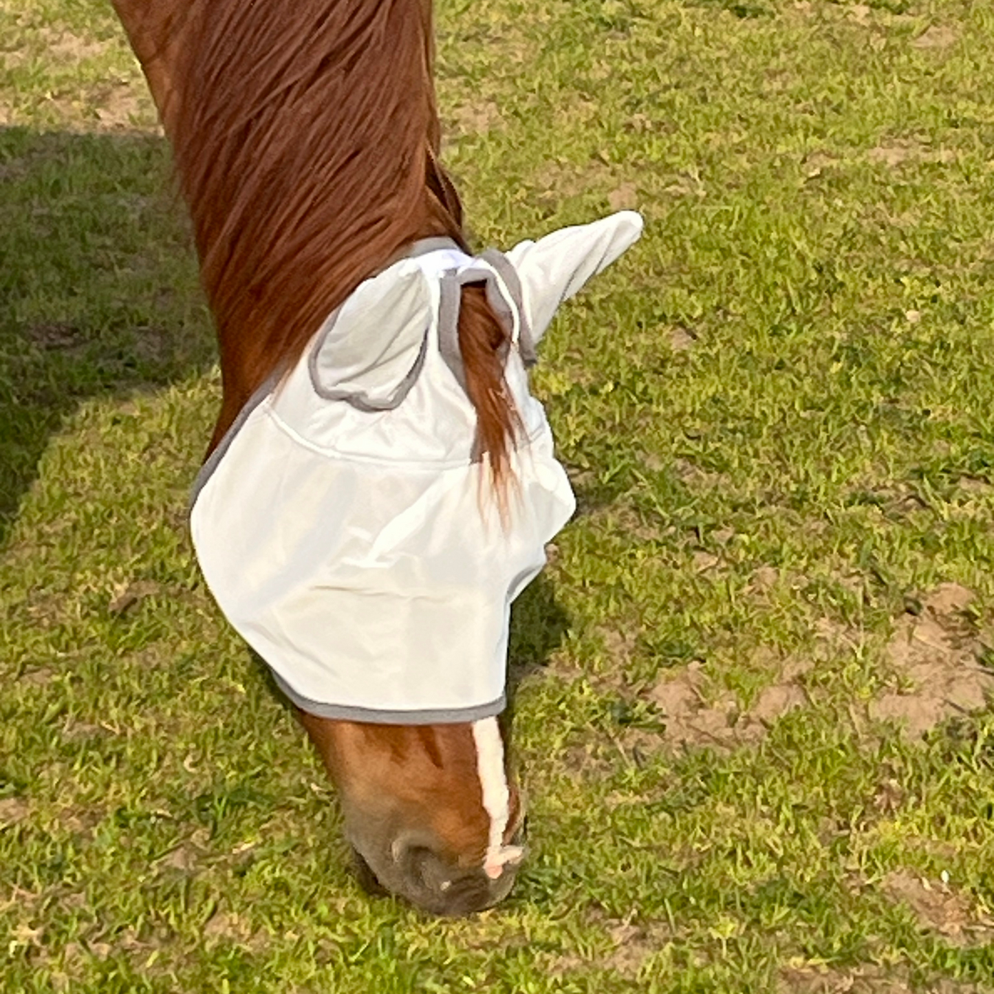 Fliegenmaske Fliegenohren Fliegenschutz für Pferde