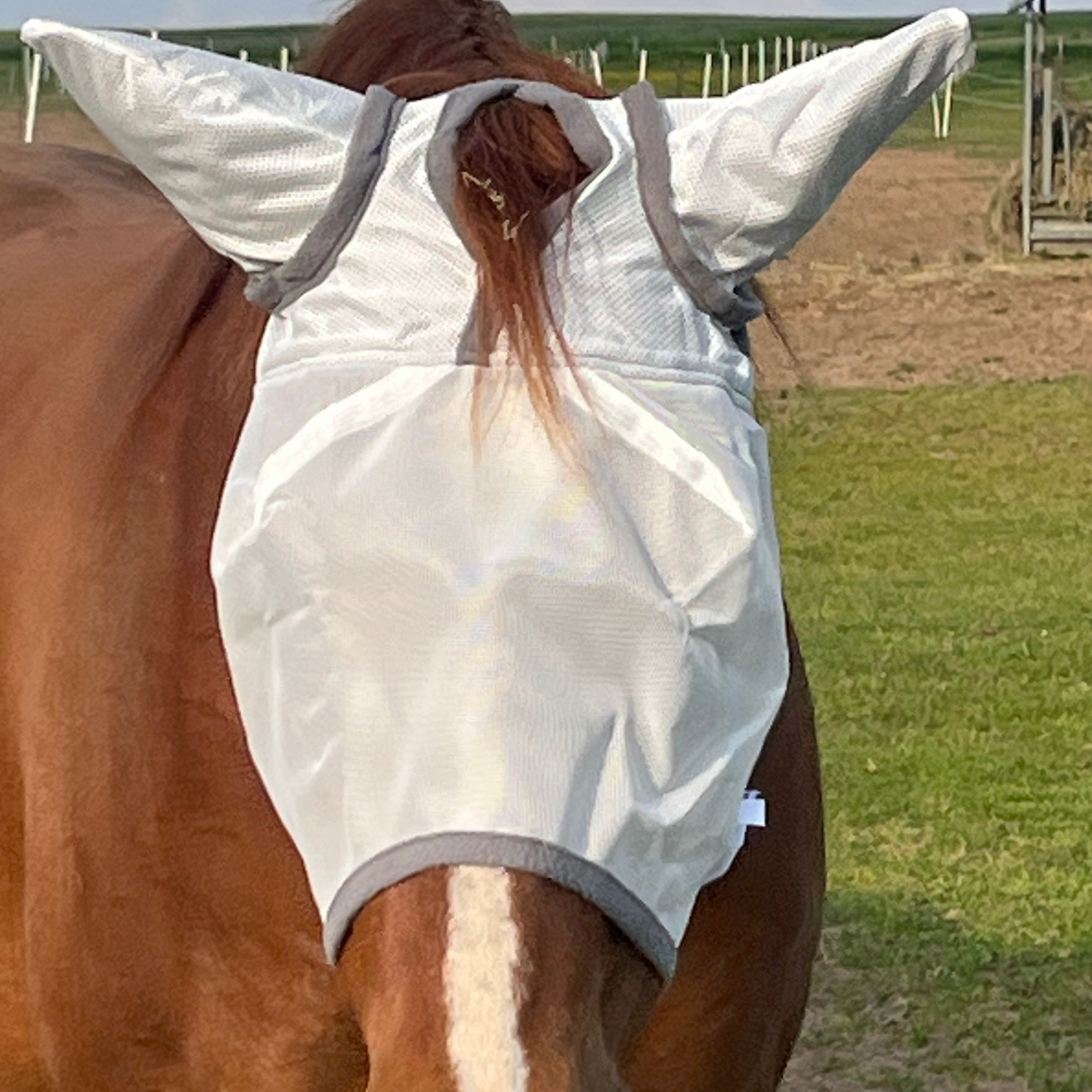 Fliegenmaske Fliegenohren Fliegenschutz für Pferde