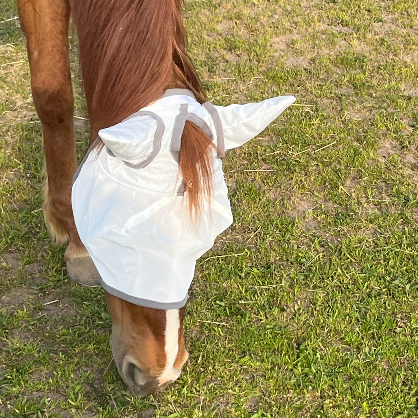Fliegenmaske Fliegenohren Fliegenschutz für Pferde