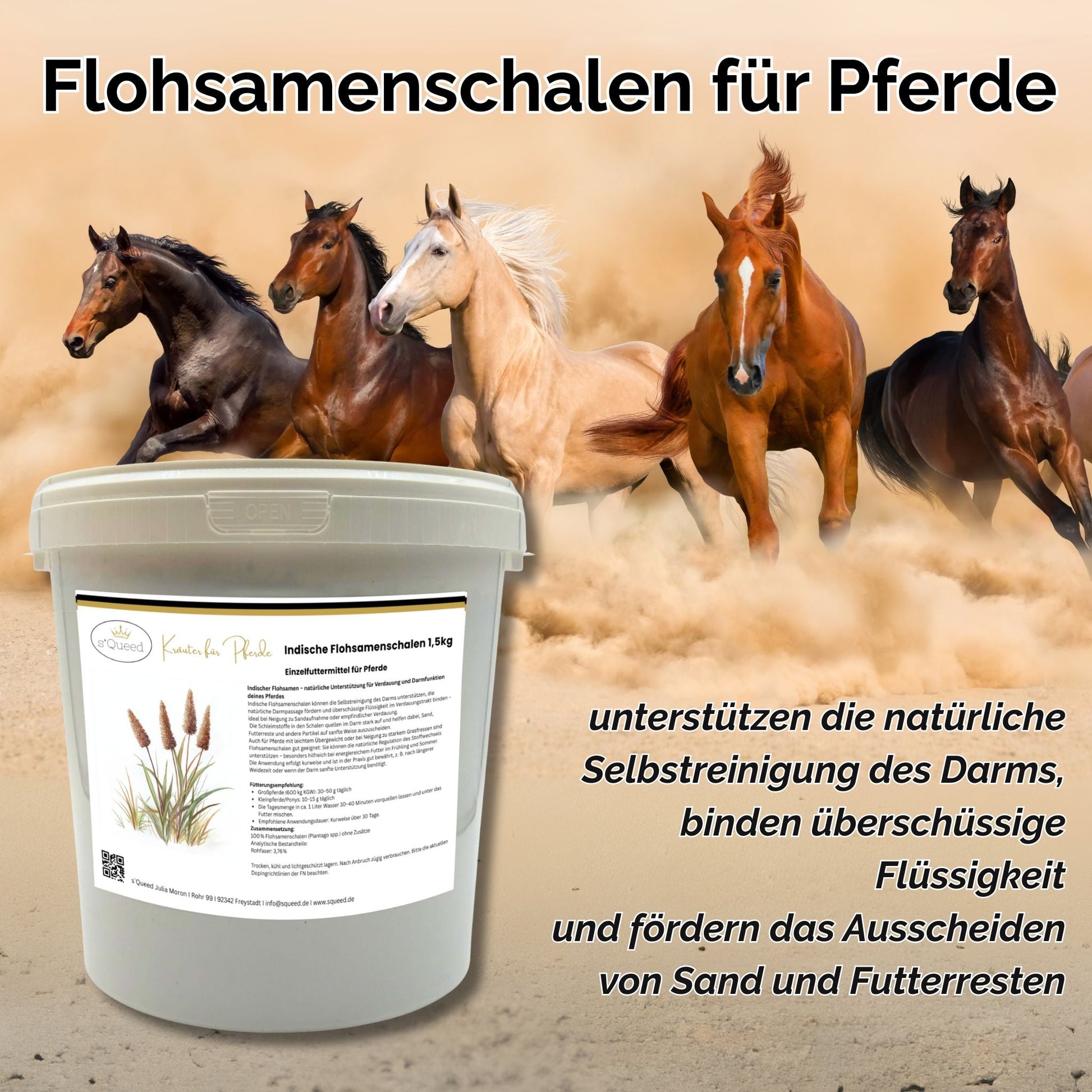 Indische Flohsamenschalen 1 5 kg für Pferde bei Kotwasser und Verdauung