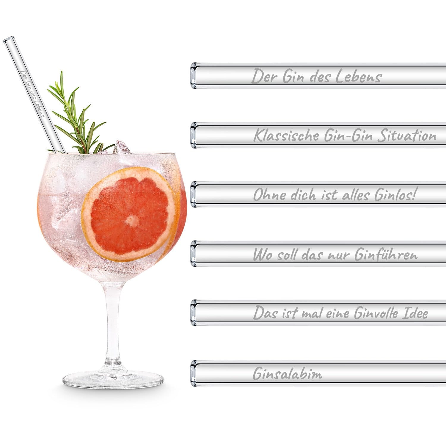 Der Gin des Lebens Edition gravierte mit 6 lustigen Gin Tonic Sprüchen