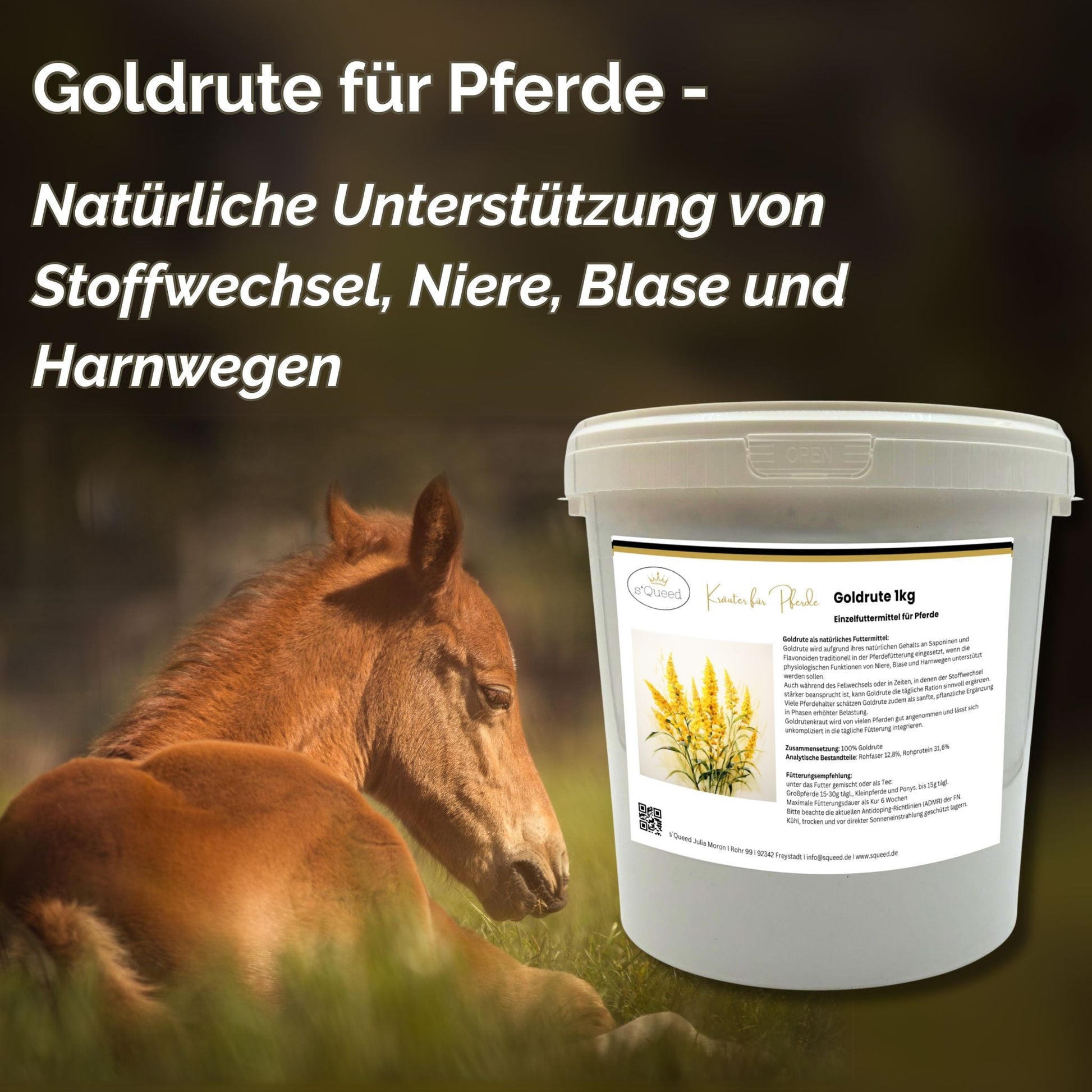 Goldrute Pferd 1kg natürliche Unterstützung für Niere Blase und Stoffwechsel