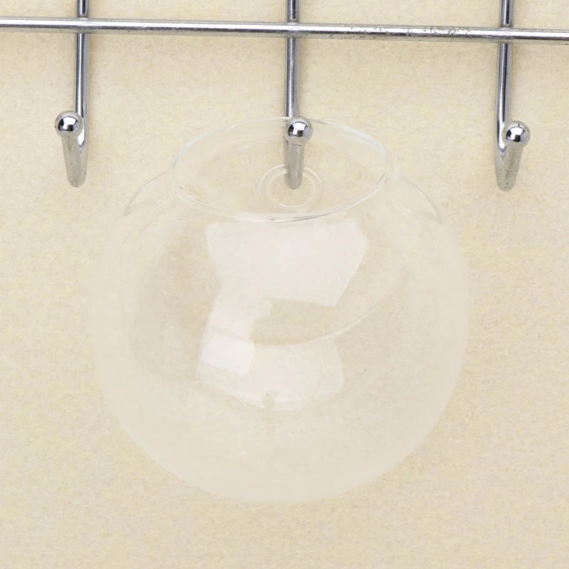 Glas Wandvase Hängend Hydroponisch für Pflanzen und Aquarien 8-12cm