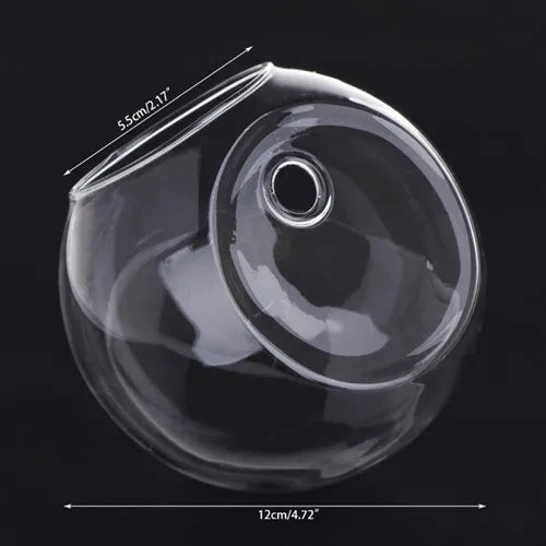 Glas Wandvase Hängend Hydroponisch für Pflanzen und Aquarien 8-12cm