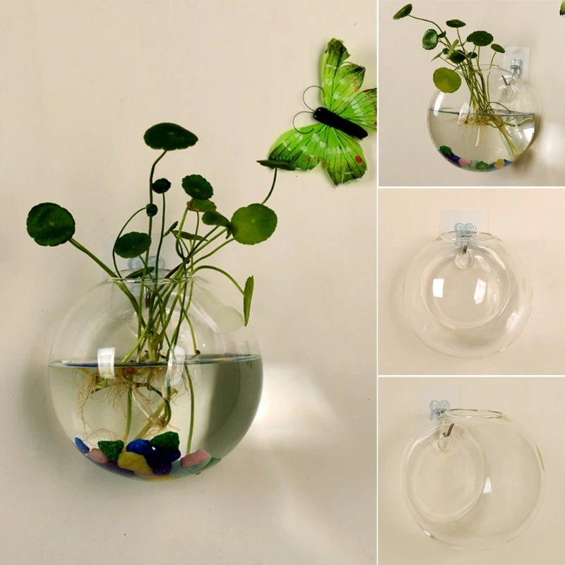 Glas Wandvase Hängend Hydroponisch für Pflanzen und Aquarien 8-12cm