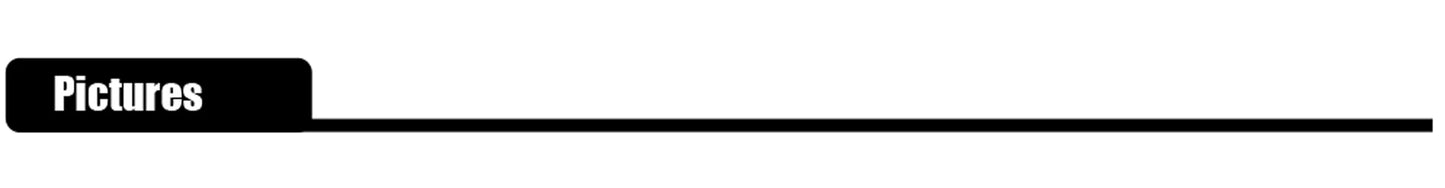 3,1 cm ovaler Metall-Drehverschluss für Handtasche und Geldbörse-Yabubest - Home & More