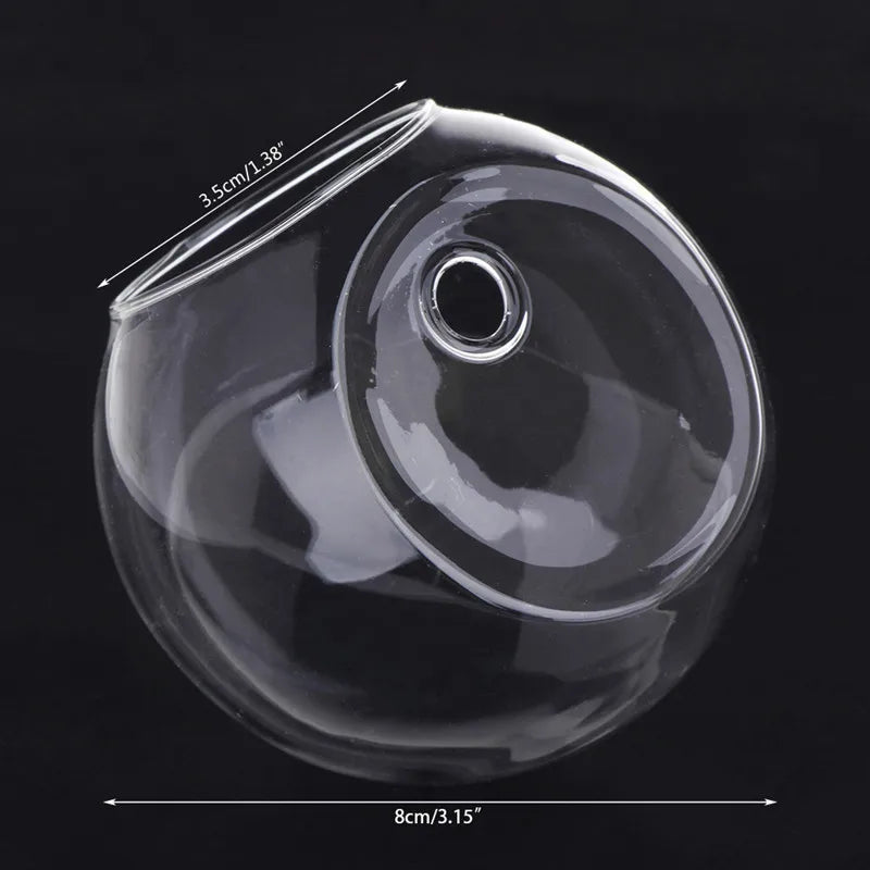 Glas Wandvase Hängend Hydroponisch für Pflanzen und Aquarien 8-12cm