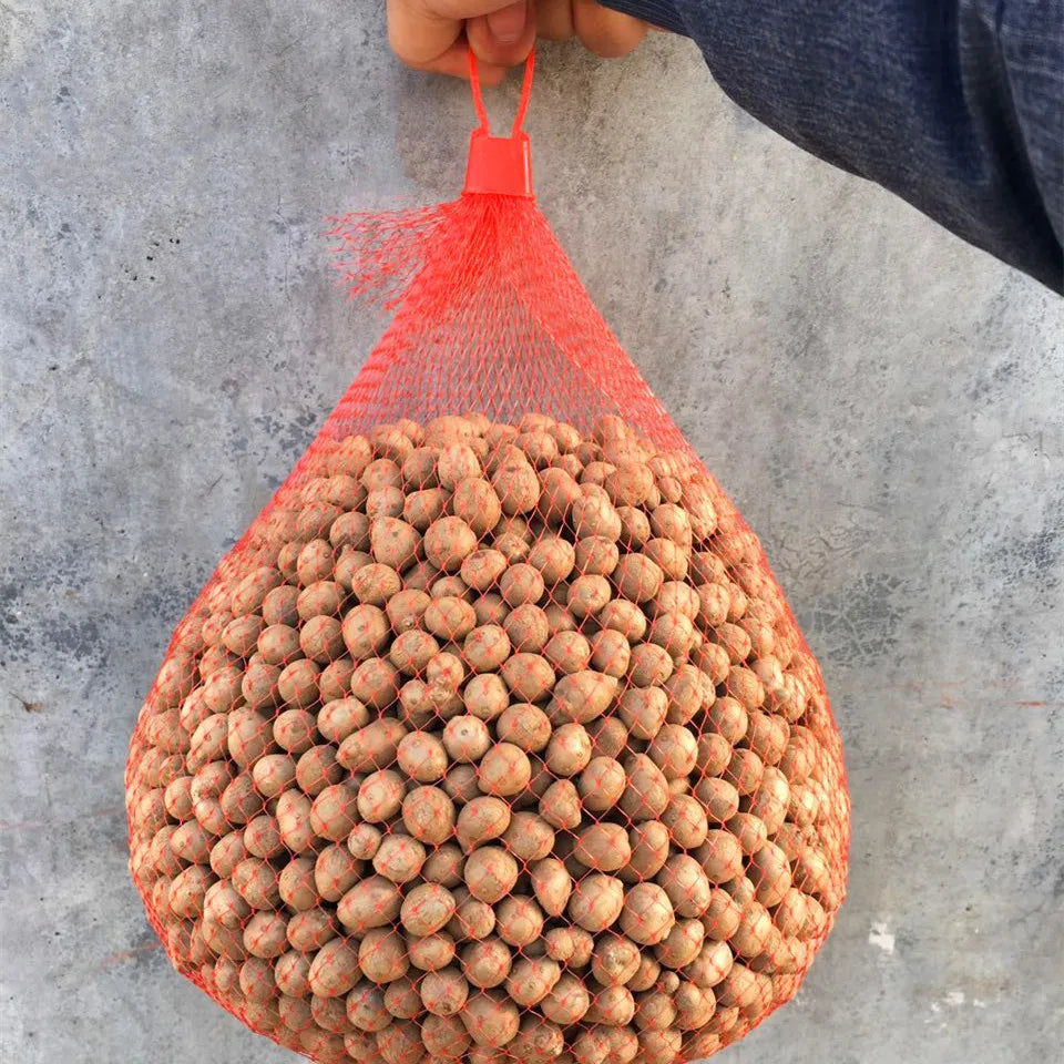 100 Stück Netzbeutel mit Schnallen für vielseitige Lagerung