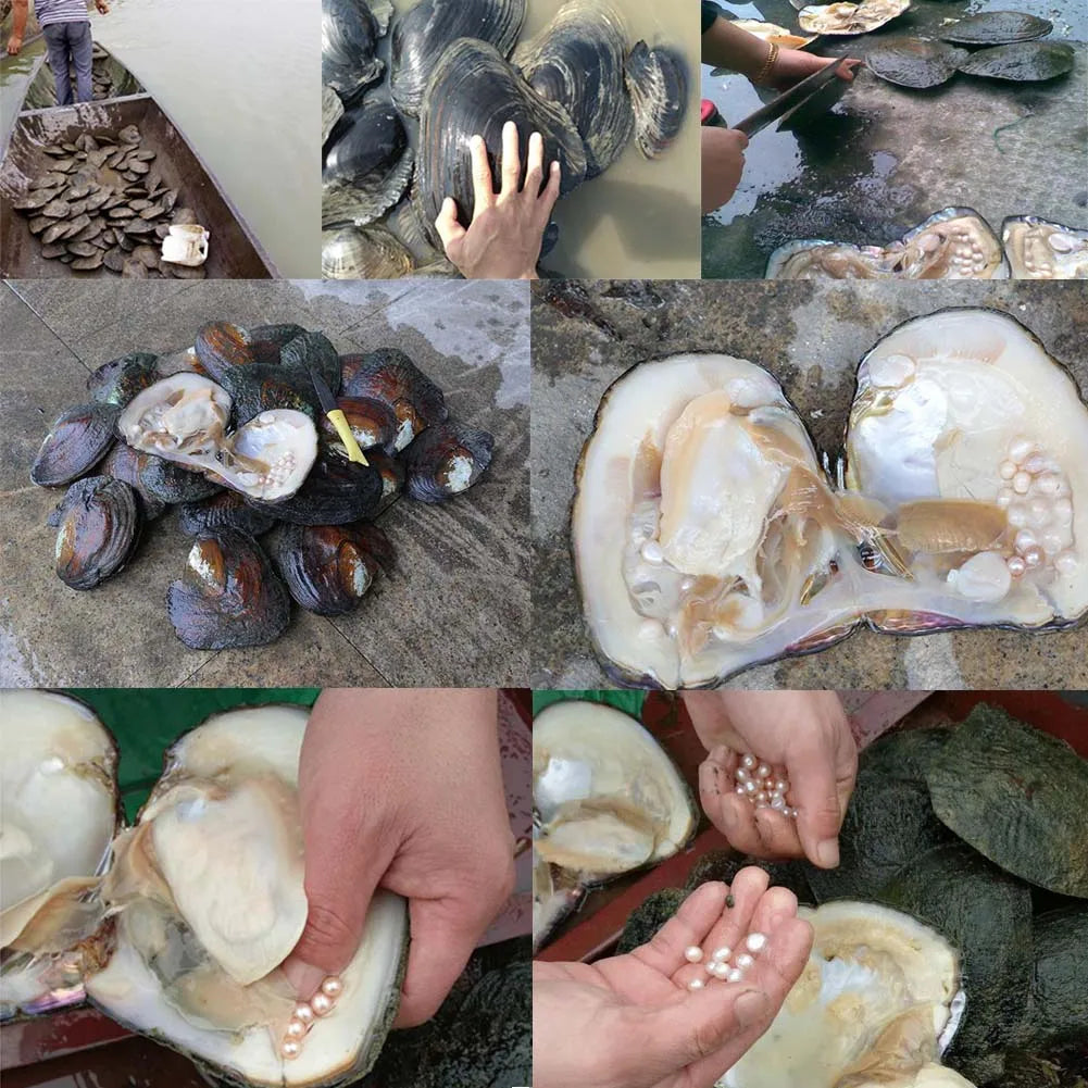 Natürliche Süßwasser Perlen unregelmäßig für DIY Schmuck Basteln