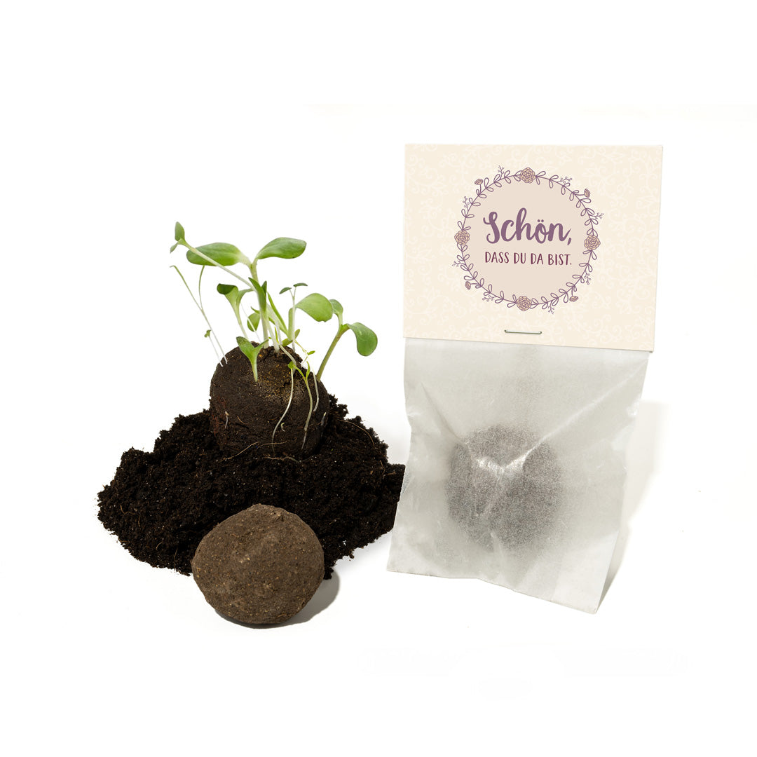 10x1 Samenbombe im Tütchen – Gastgeschenk-Die Stadtgärtner