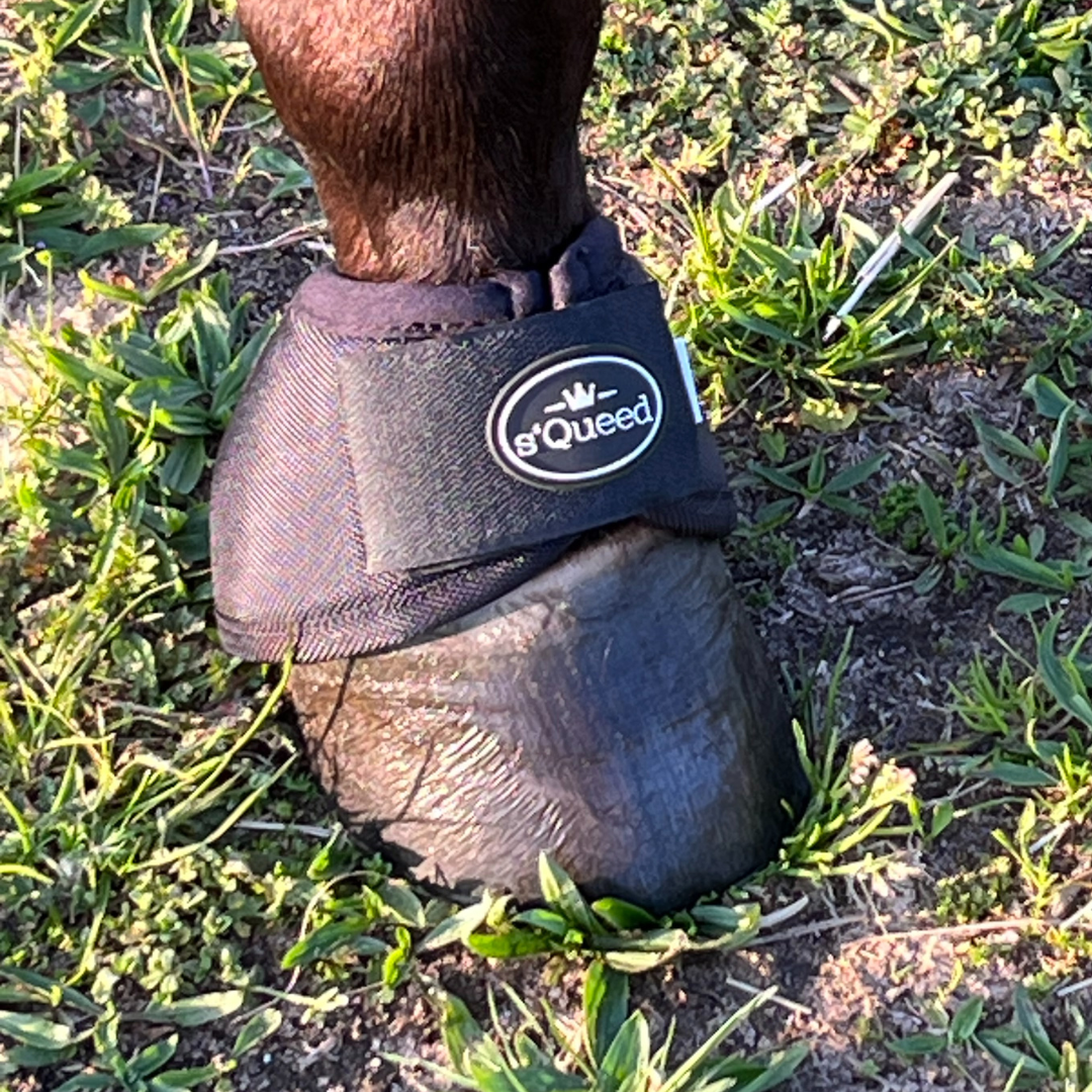 Hufglocken Bell Boots