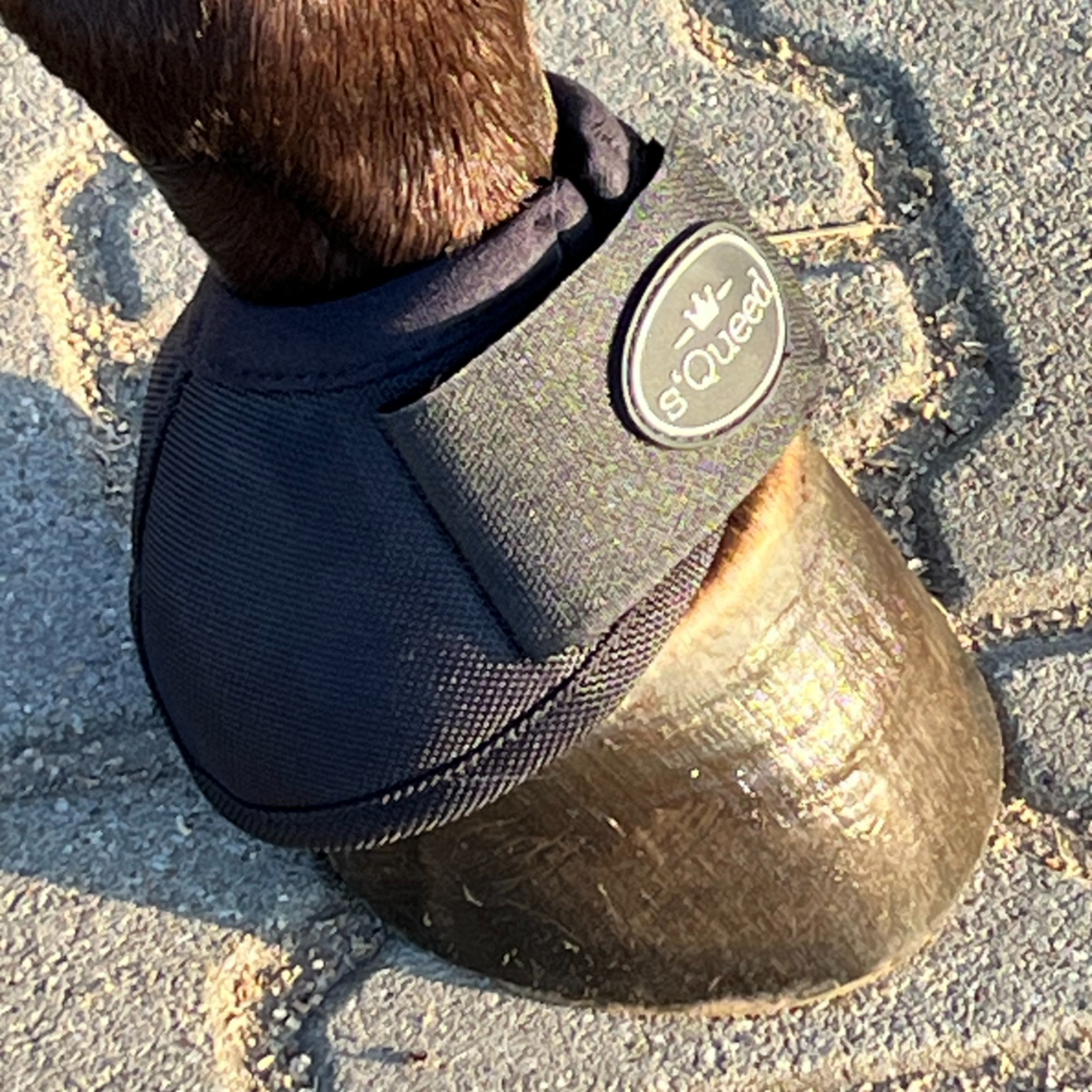 Hufglocken Bell Boots