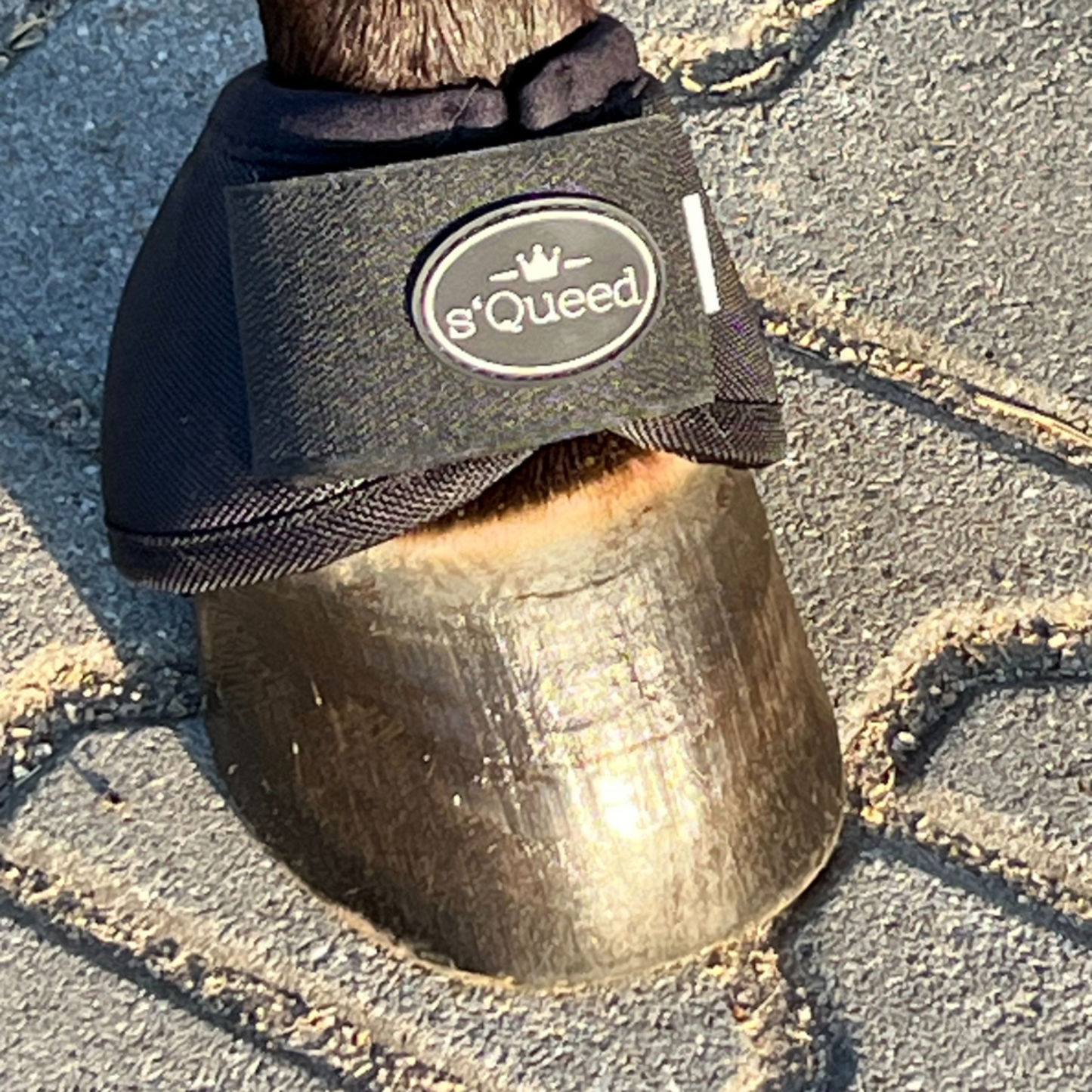 Hufglocken Bell Boots