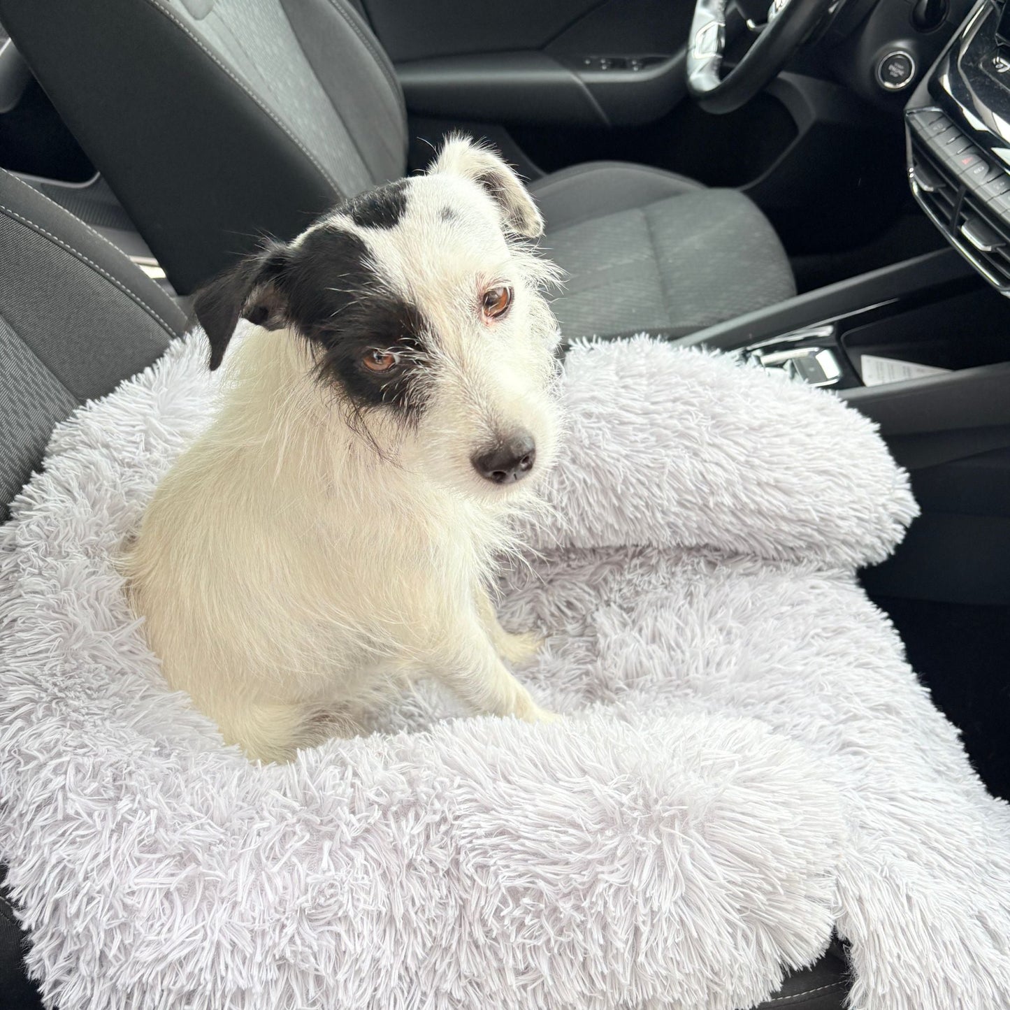 Hundebett "Balu" kuschelig weiche & waschbare Auflage – mit hohem Rand für Auto & Sofa