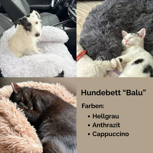 Hundebett "Balu" kuschelig weiche & waschbare Auflage – mit hohem Rand für Auto & Sofa