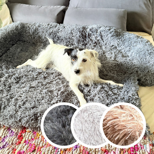Hundebett "Balu" kuschelig weiche & waschbare Auflage – mit hohem Rand für Auto & Sofa
