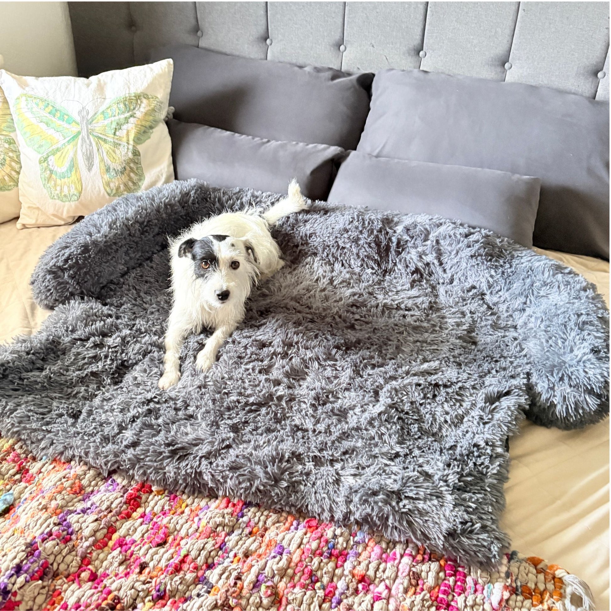 Hundebett "Balu" kuschelig weiche & waschbare Auflage – mit hohem Rand für Auto & Sofa