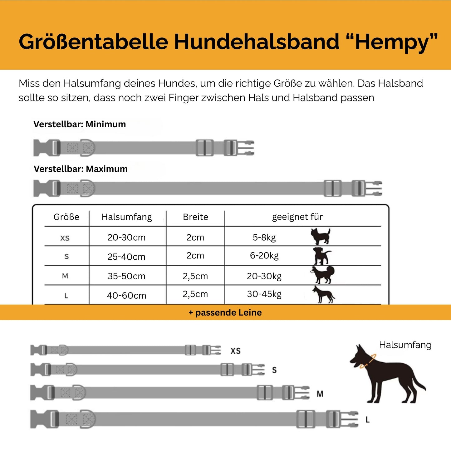 Hundehalsband-Set "Hempy" - Halsband + Leine + gravierte Hundemarke
