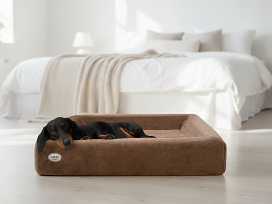 Orthopädisches Hundebett mit veganem Kuschelfell für warmen Komfort-SABRO GmbH