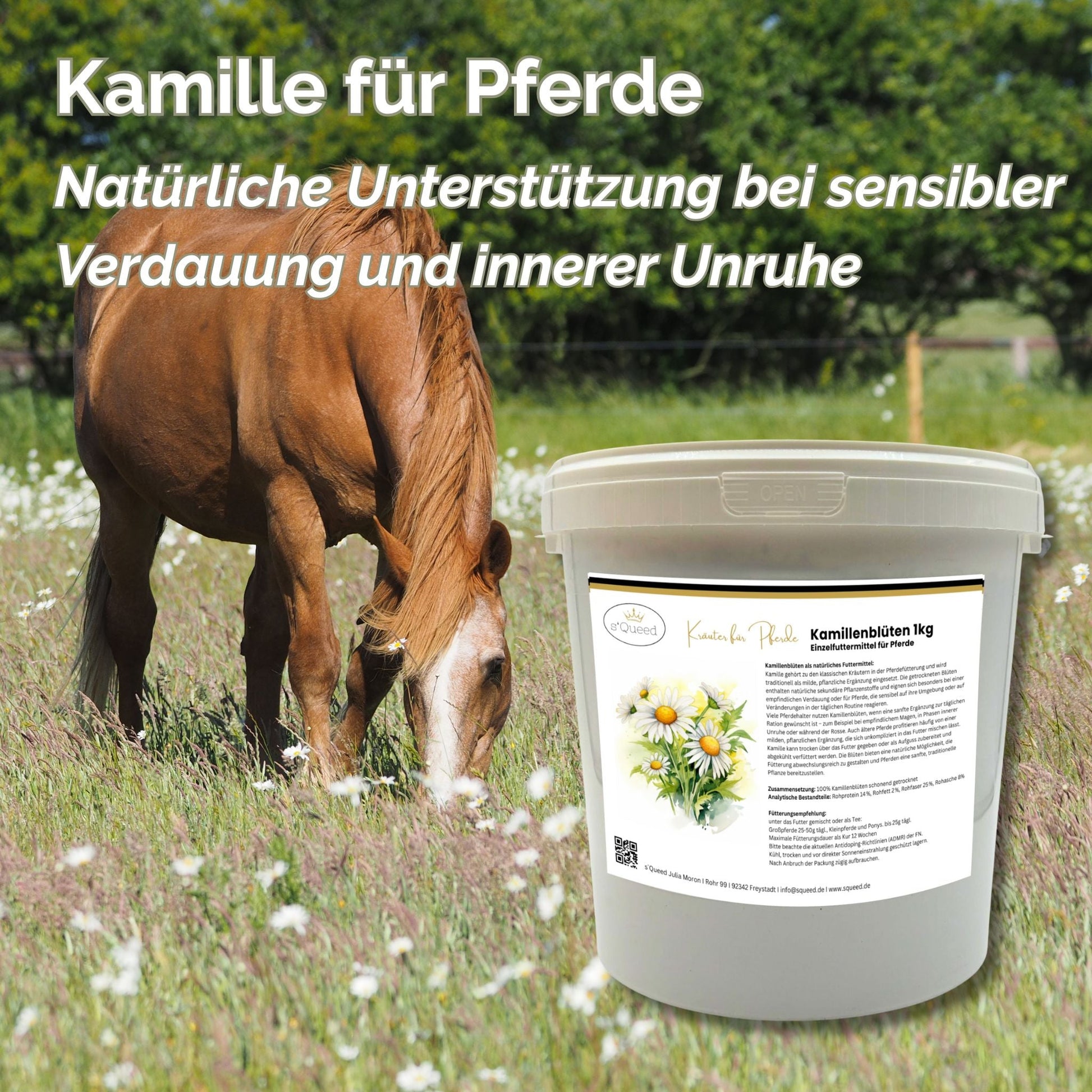 1kg Kamillenblüten ganze Blüte Sanfte Kräuterergänzung Pferd