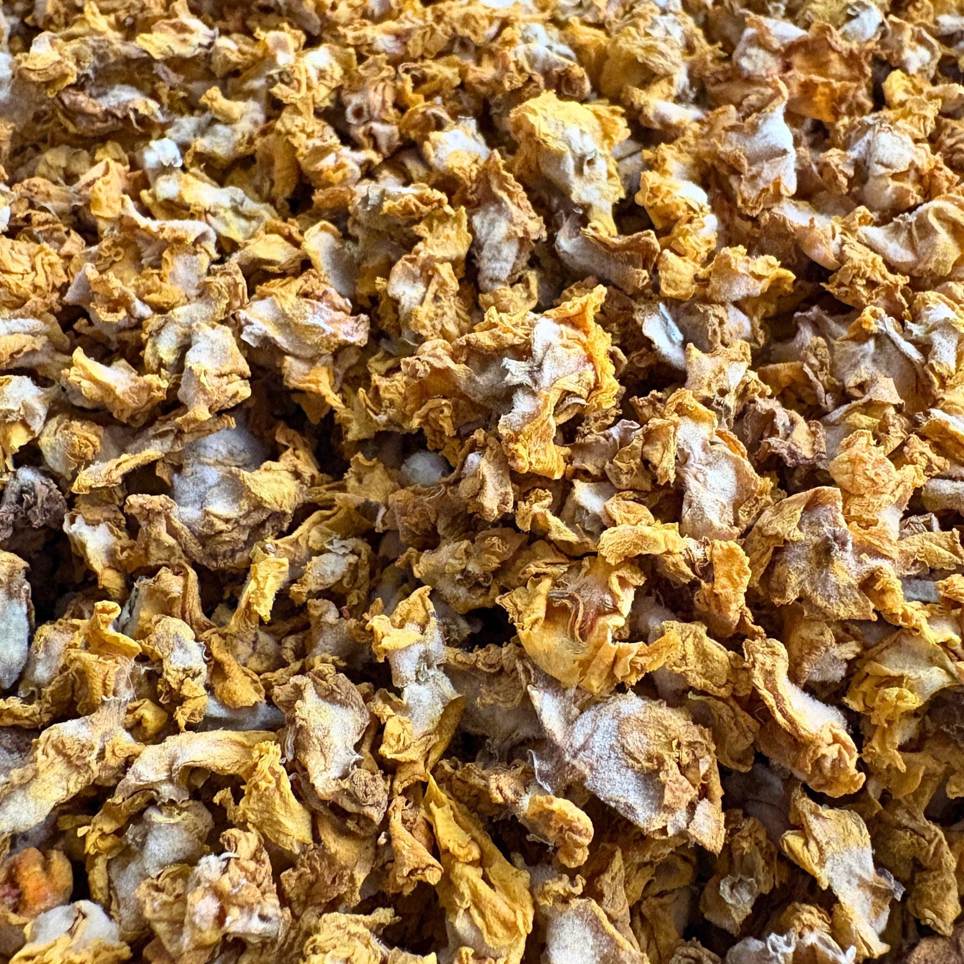 Königskerzenblüten Pferd 500g