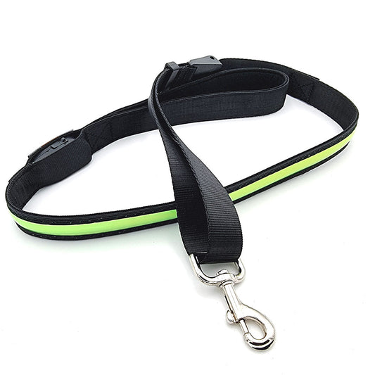 LED Leuchtende Hundeleine mit USB und verstellbarer Länge