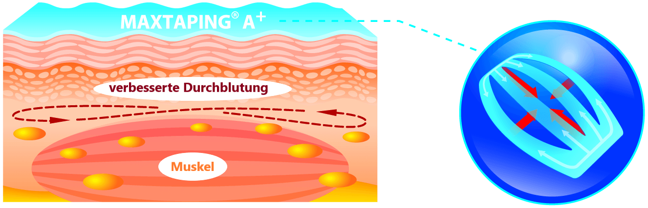 Maxtaping A+ / 8095BU/RD