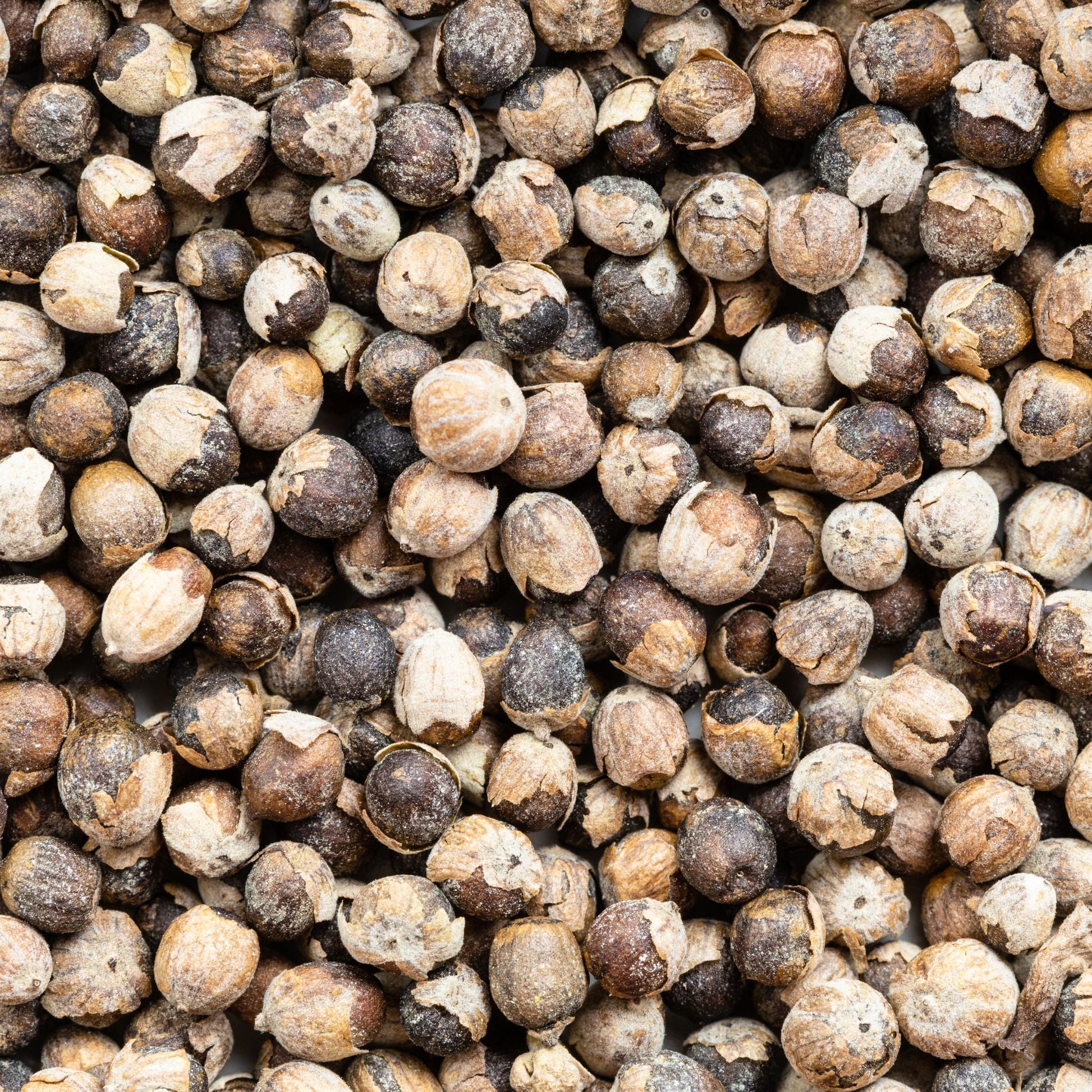 Natürlicher Mönchspfeffer für Pferde 1kg zur Unterstützung bei hormonellen Dysbalancen