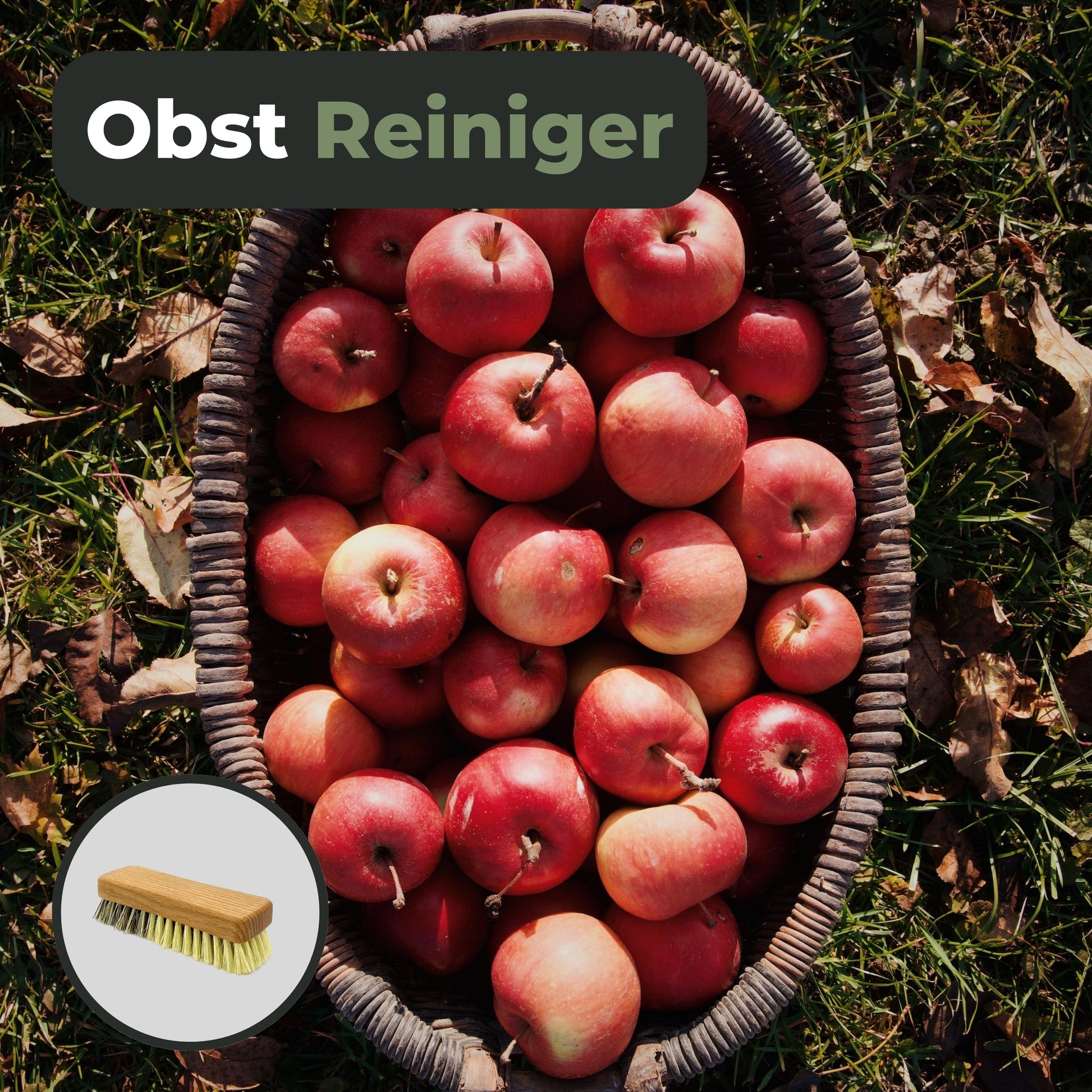 Gemüsebürste Holz zwei Härtegrade - Obst- & Gemüsereiniger