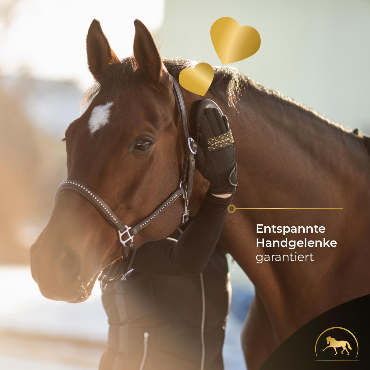 Brustelbürste für Pferdefell mit elastischer Handschlaufe und Flexibilität-Pferdegold®