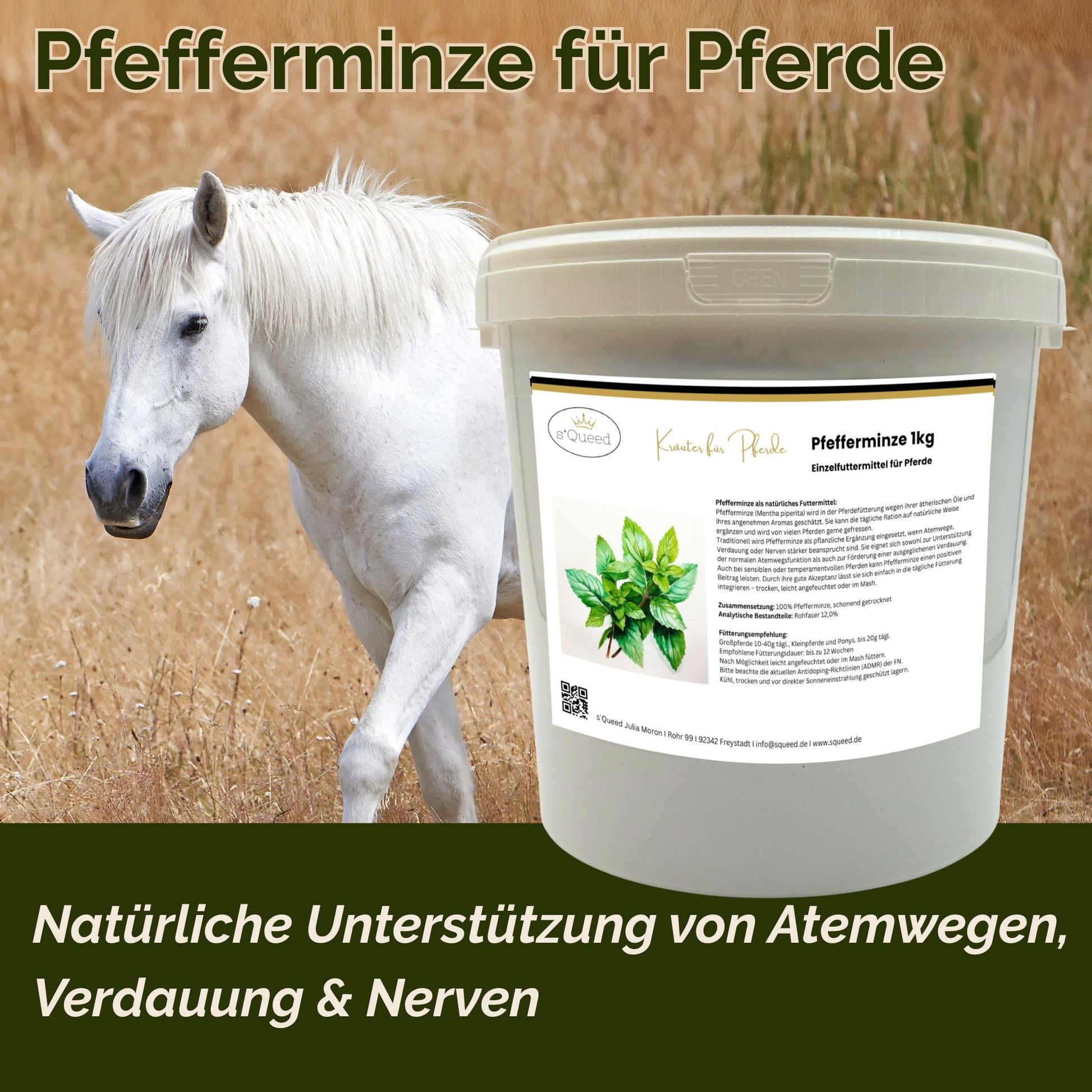 1kg Pfefferminze für Pferde natürliche Unterstützung für Gesundheit