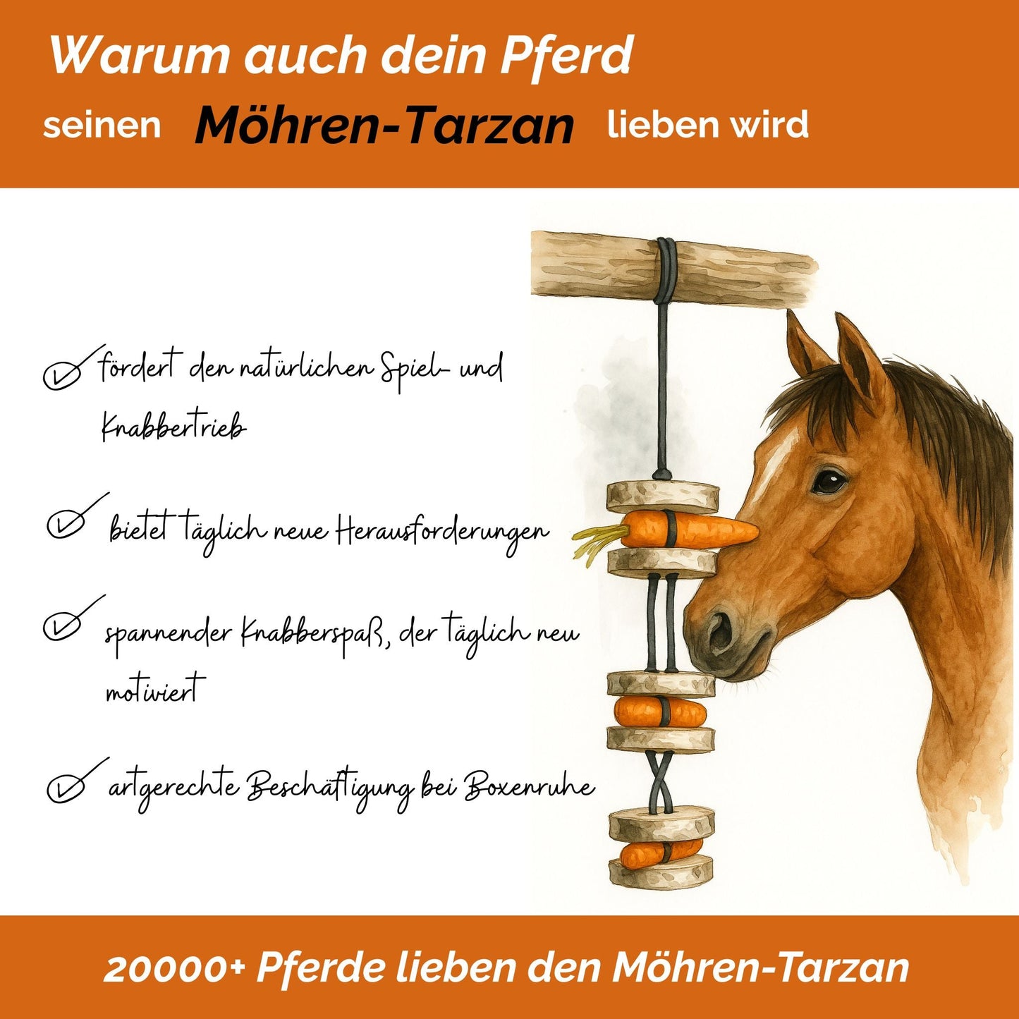 Pferdespielzeug Möhren-Tarzan – Spielzeug für Pferde gegen Langeweile – Pferdebeschäftigung
